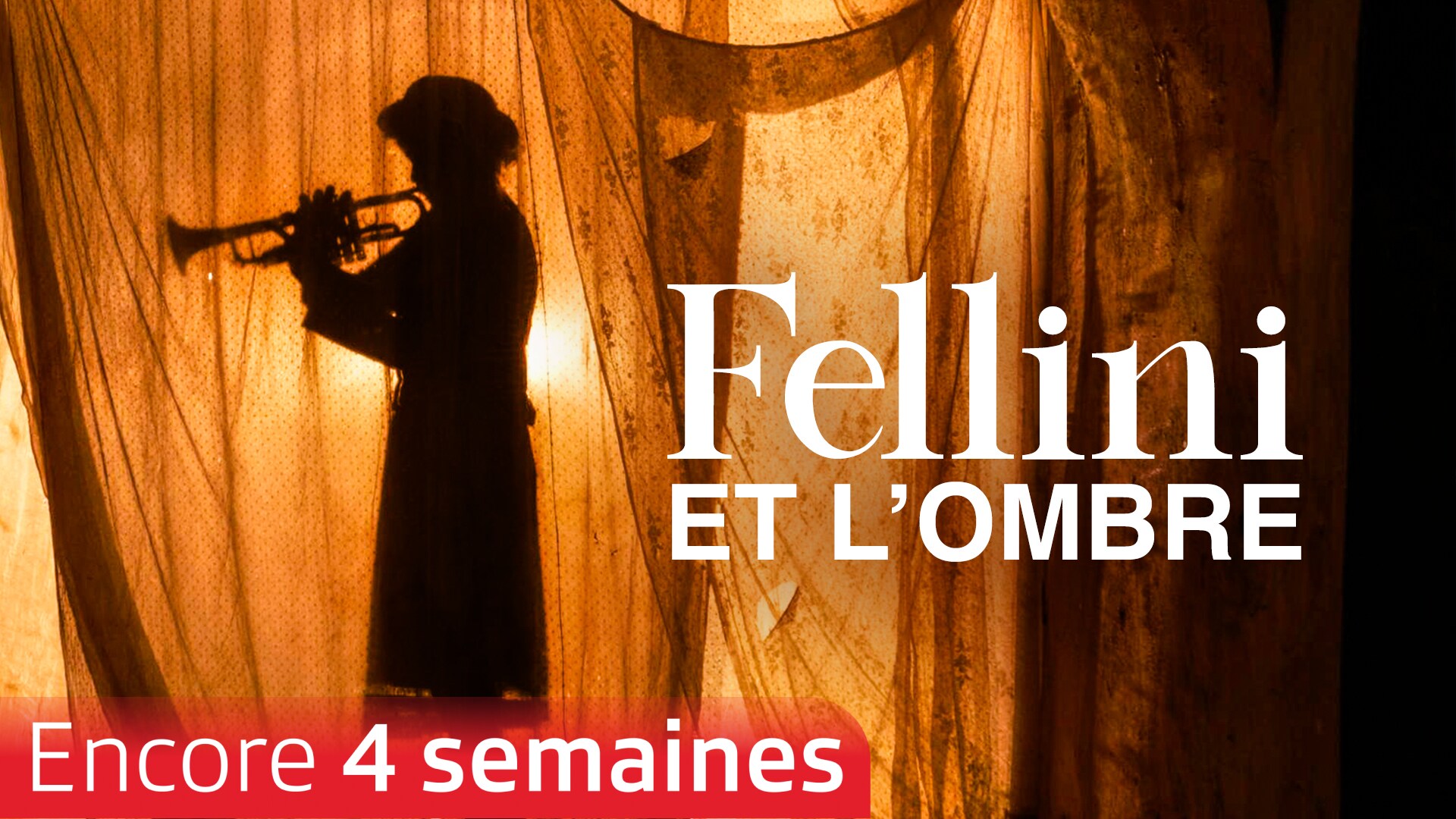 Fellini et l'ombre