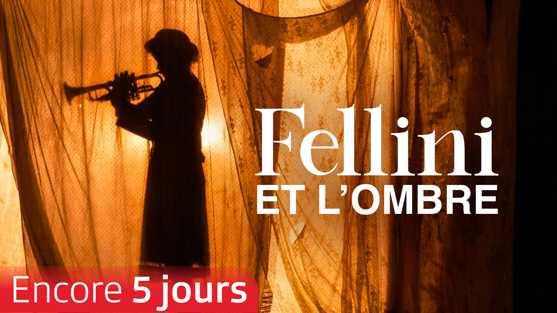Fellini et l'ombre