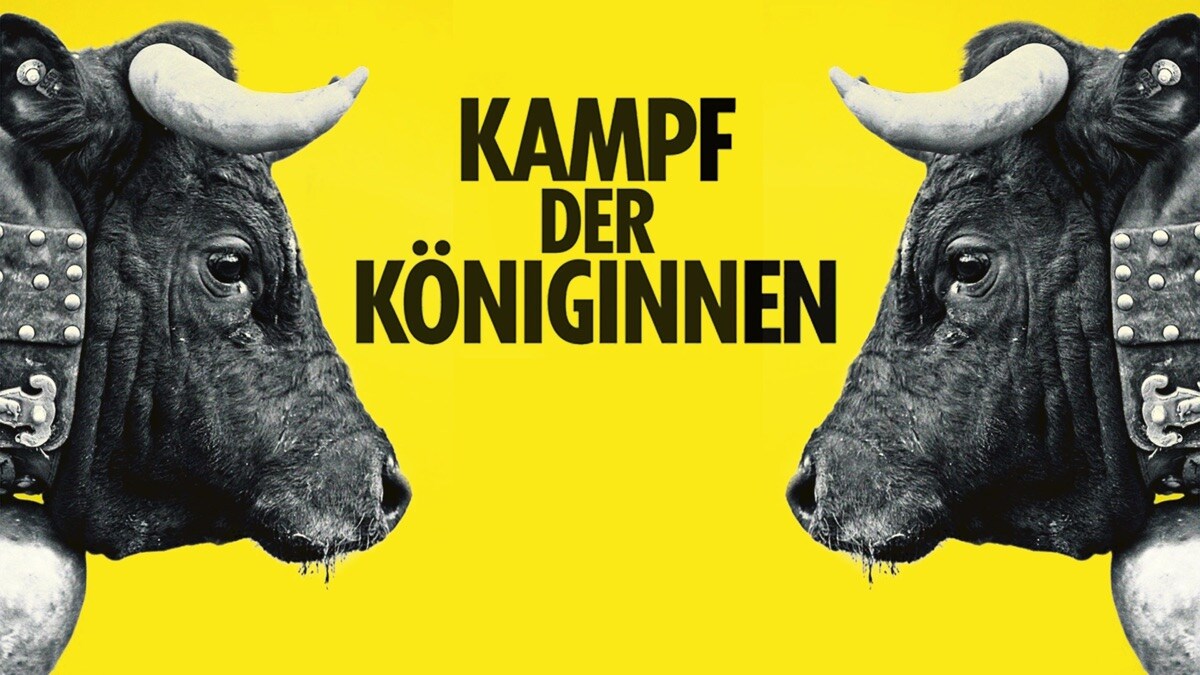 Kampf der Königinnen