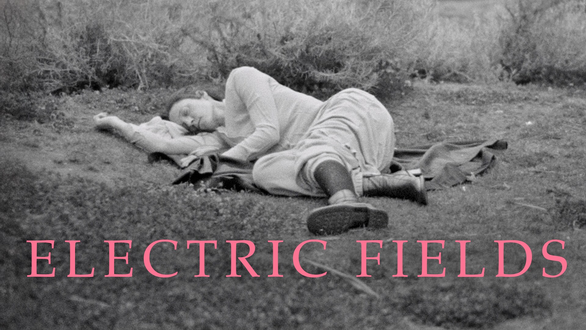 Electric Fields