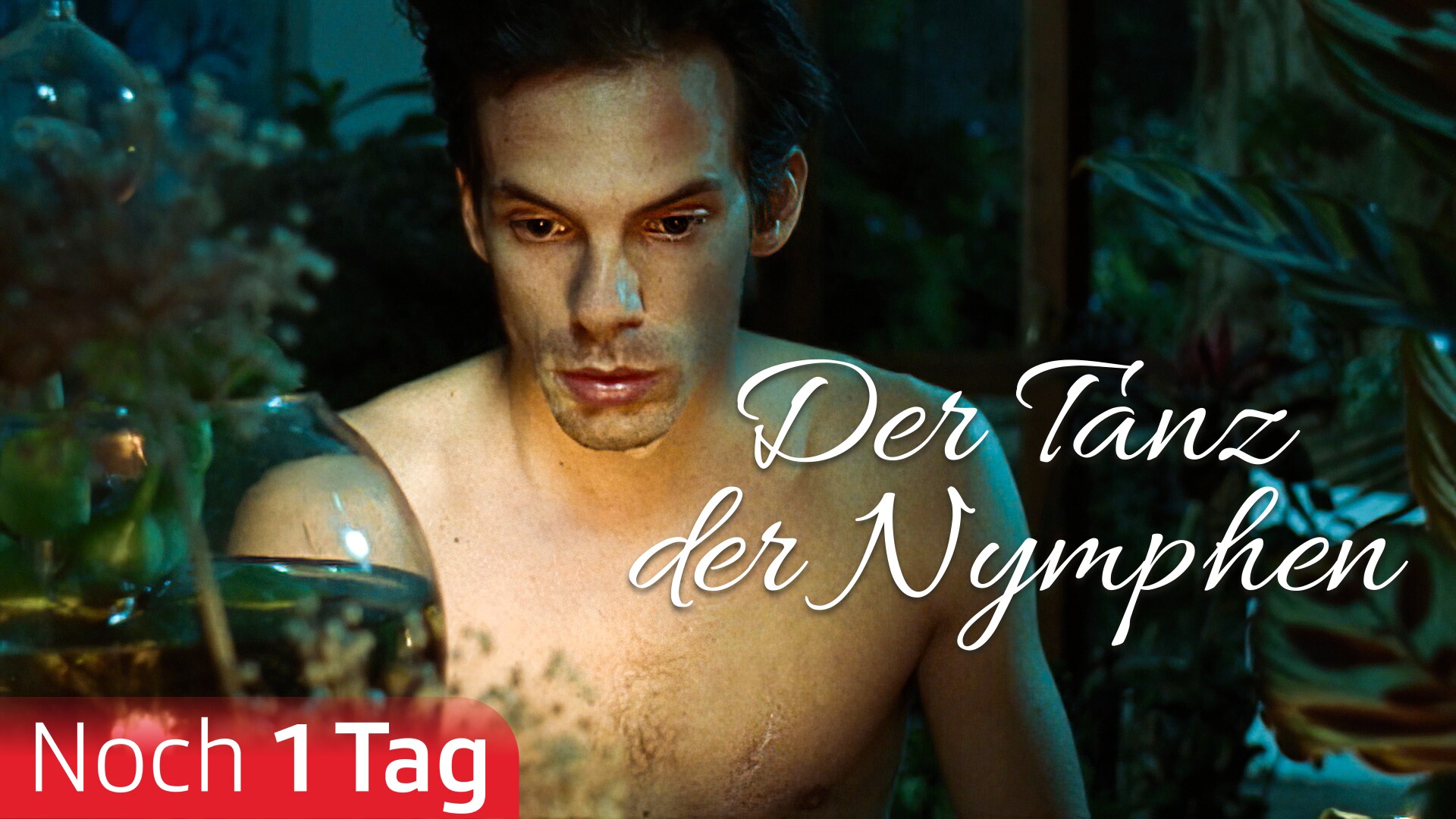 Der Tanz der Nymphen