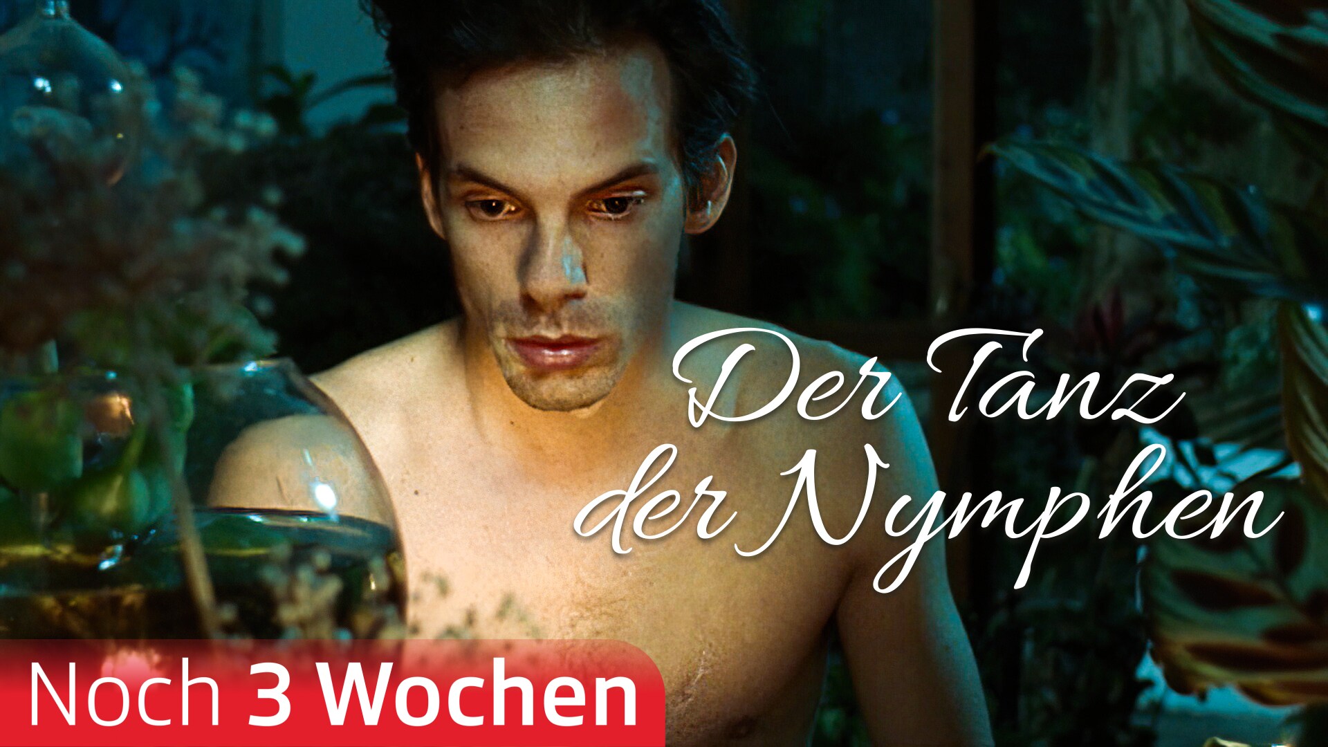 Der Tanz der Nymphen