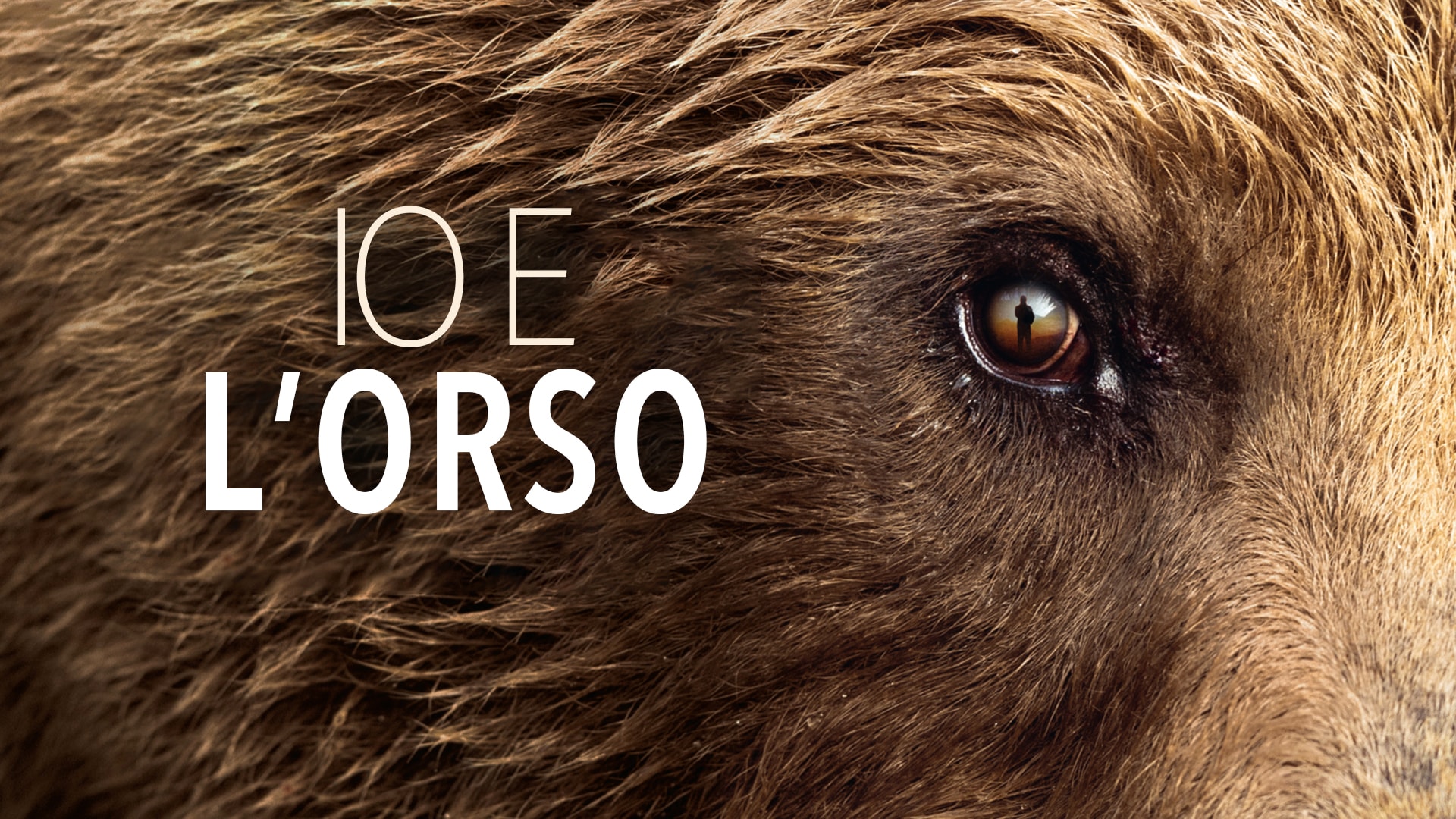 Io e l'orso
