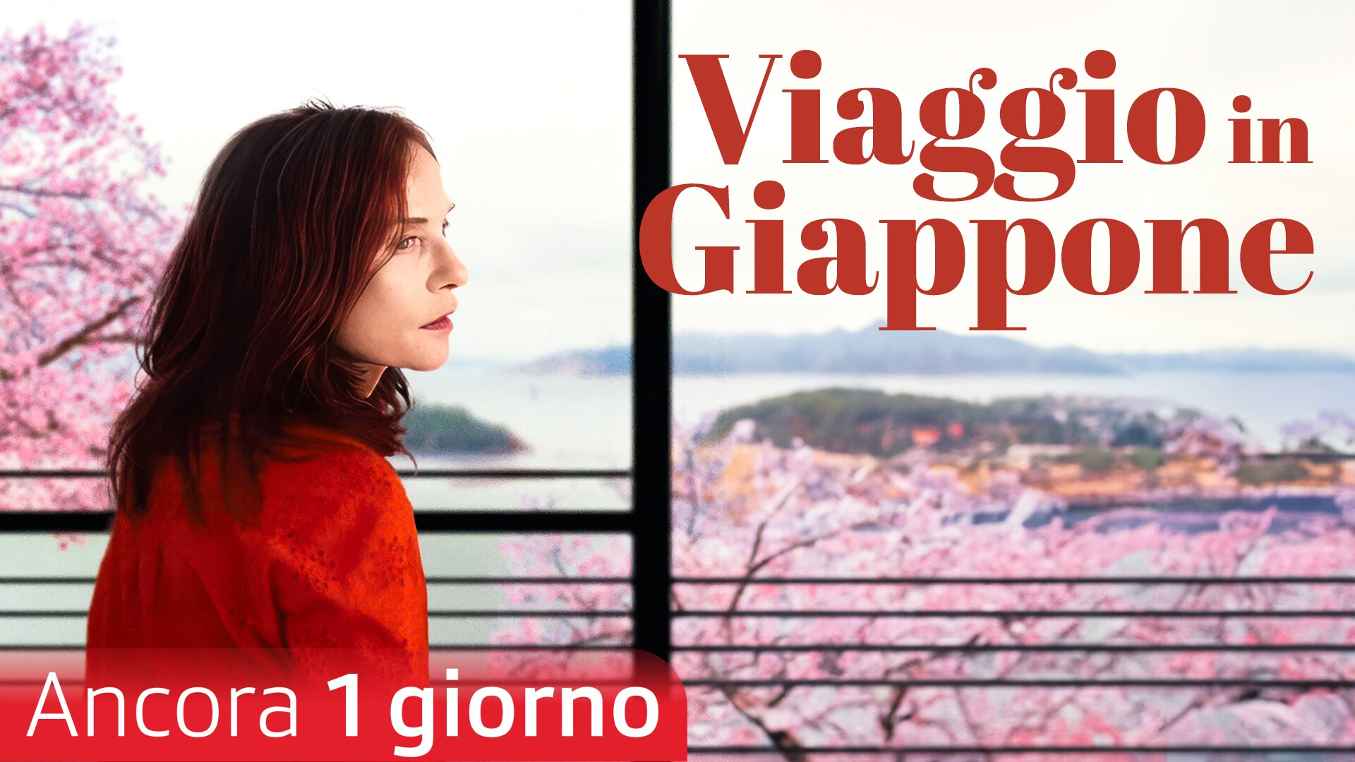 Viaggio in Giappone