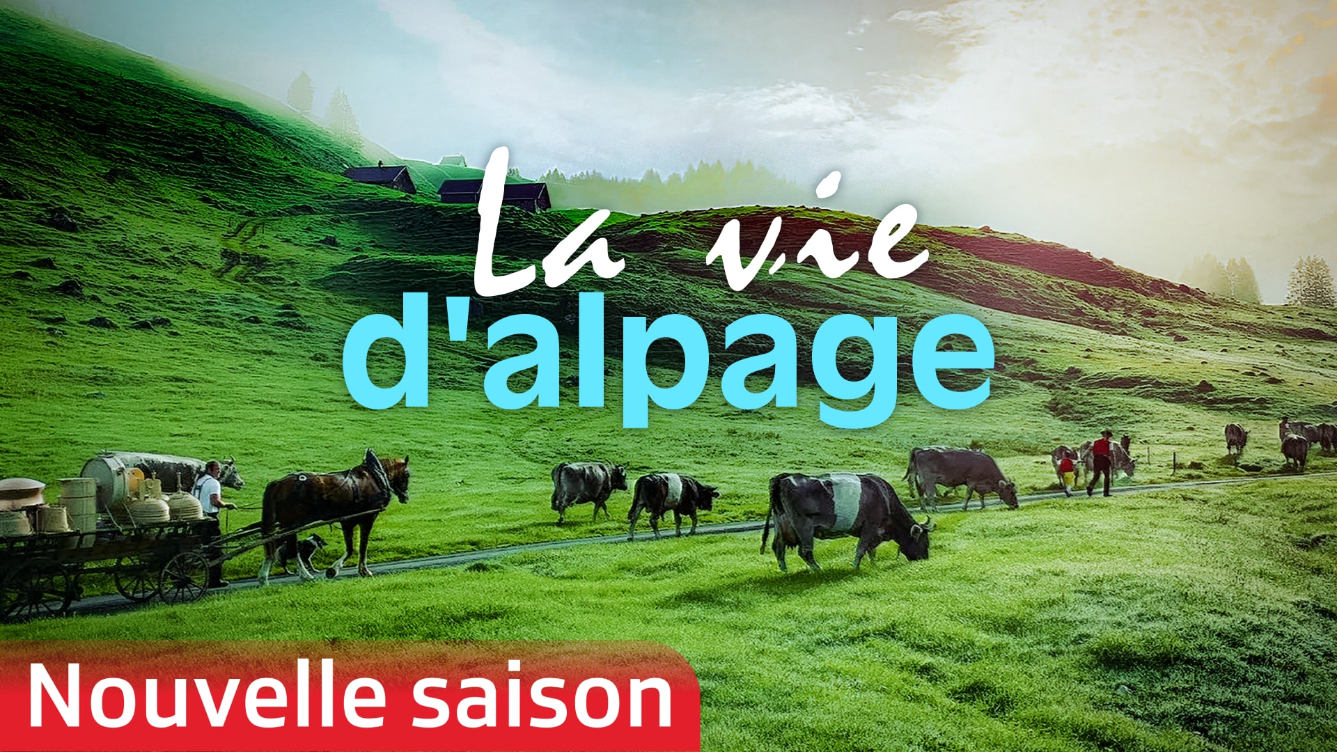 La vie d'alpage