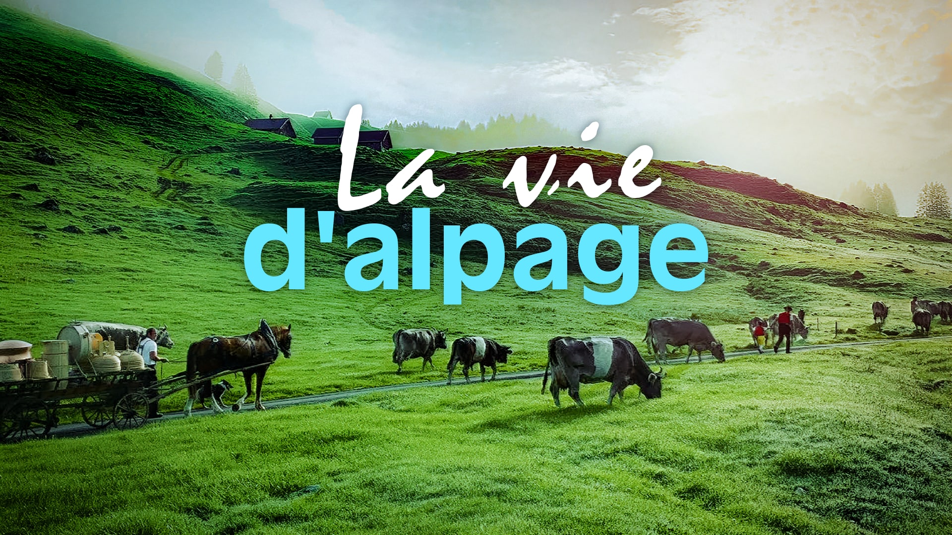 La vie d'alpage