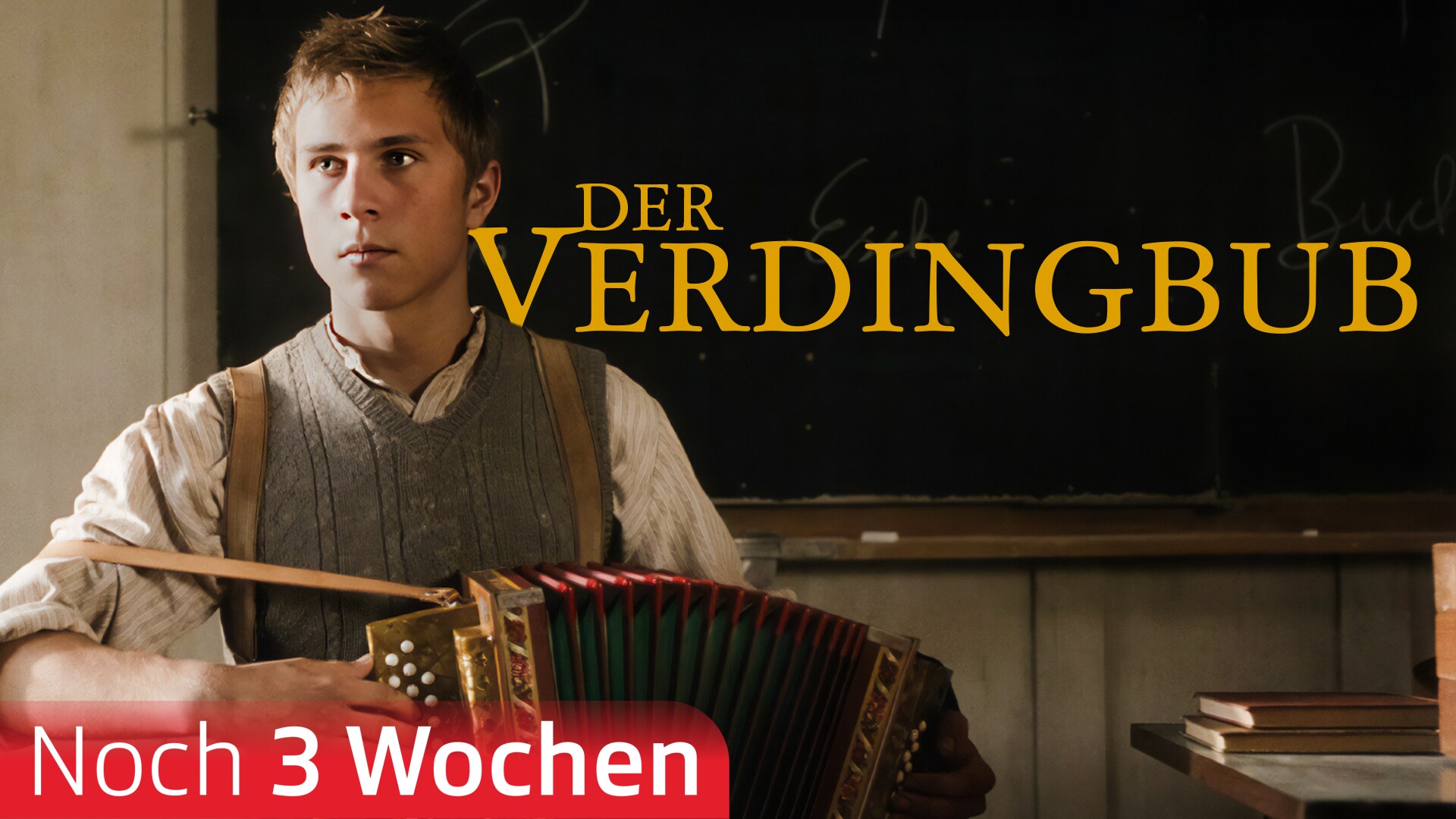 Der Verdingbub