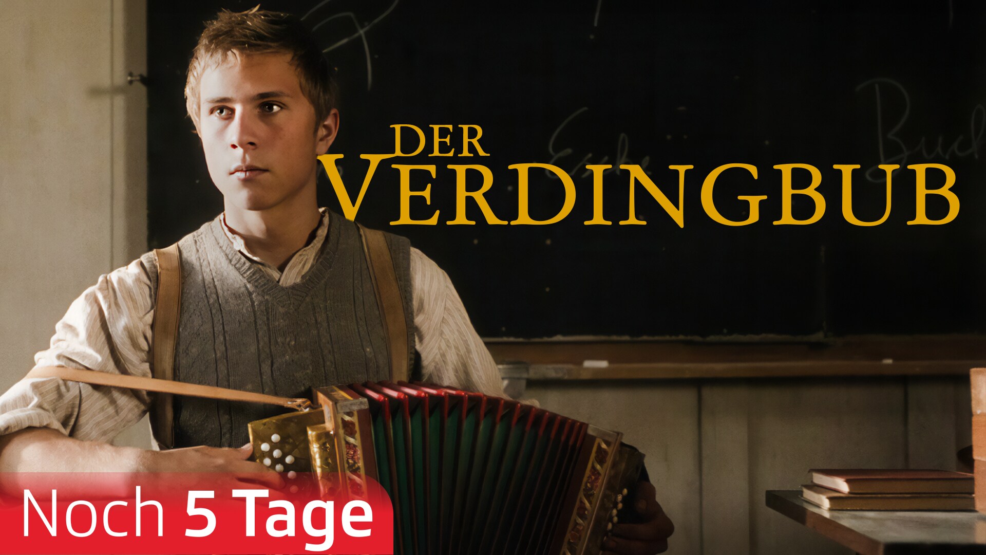 Der Verdingbub