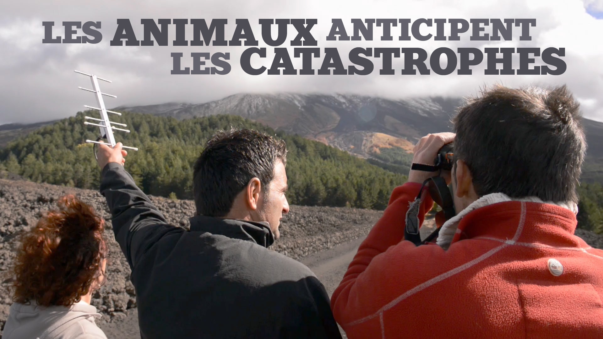 Les animaux anticipent les catastrophes 