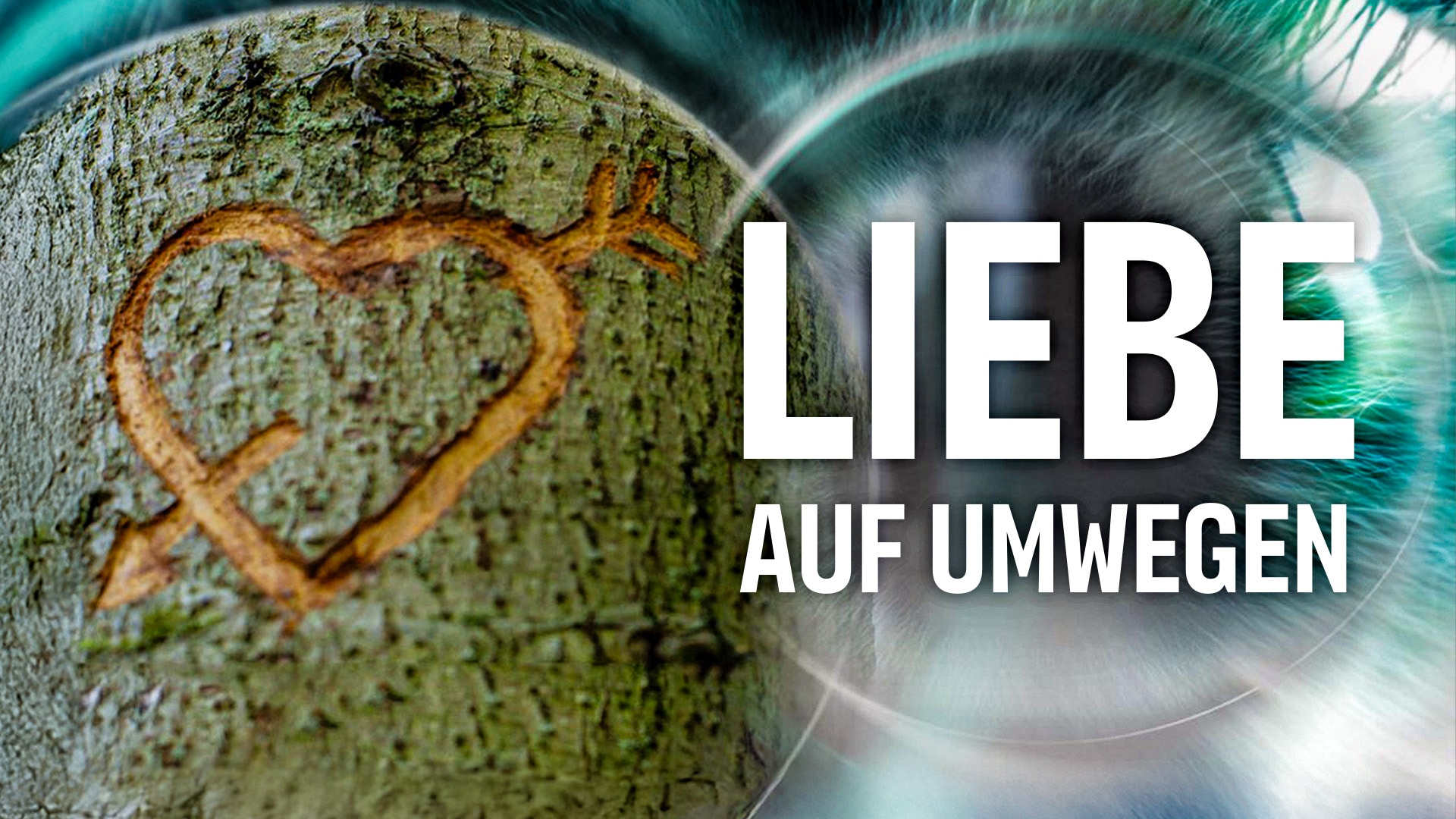 Liebe auf  Umwegen