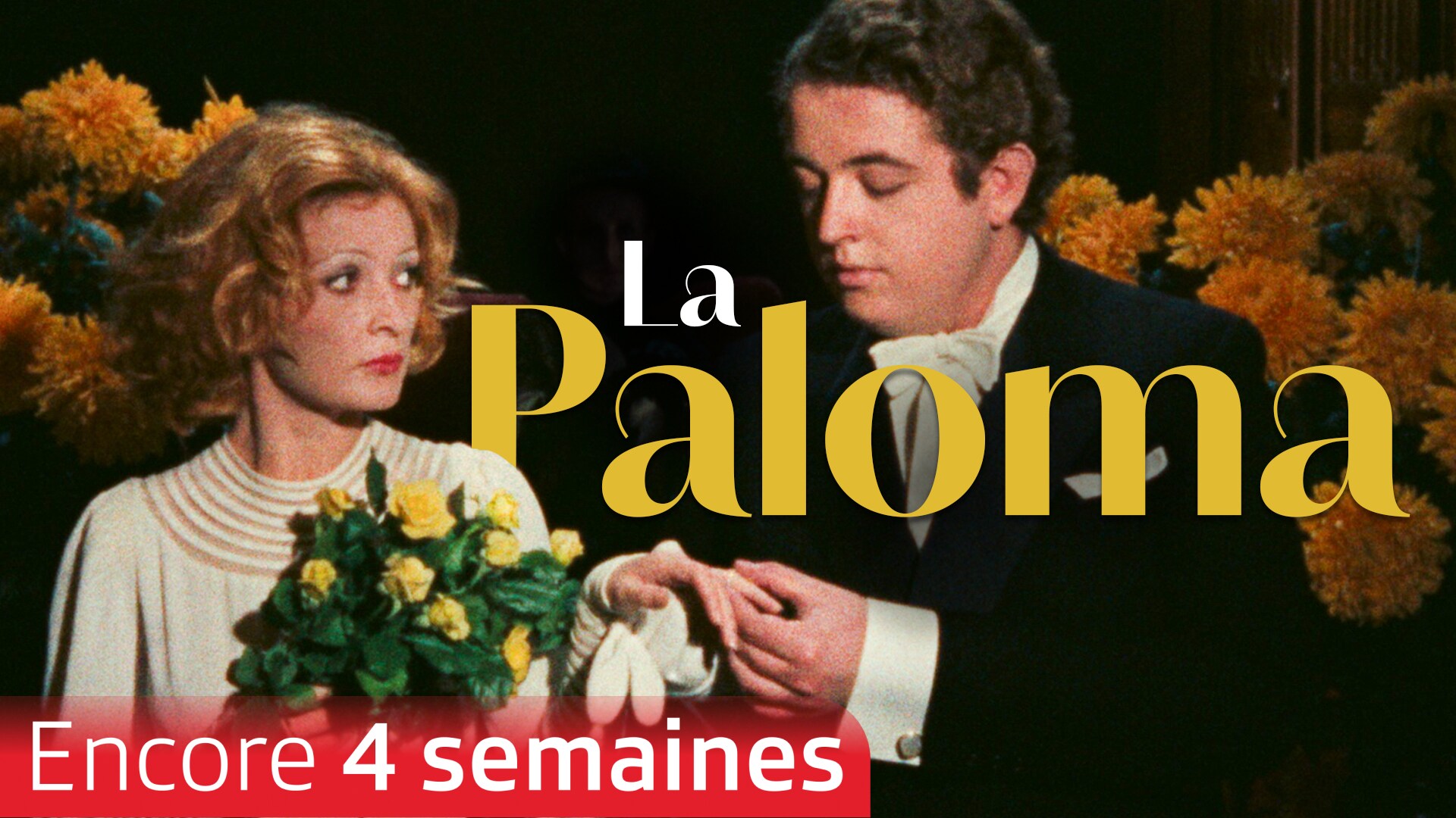 La Paloma