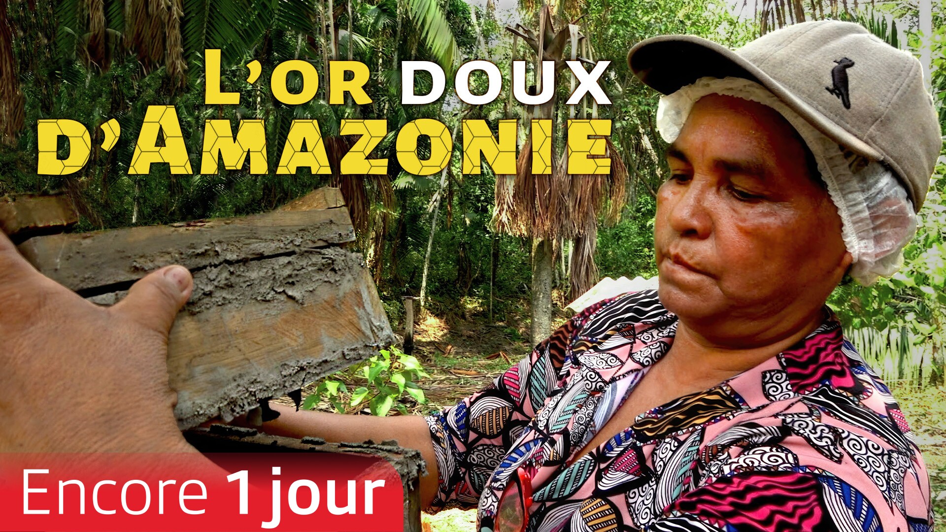 L'or doux d'Amazonie