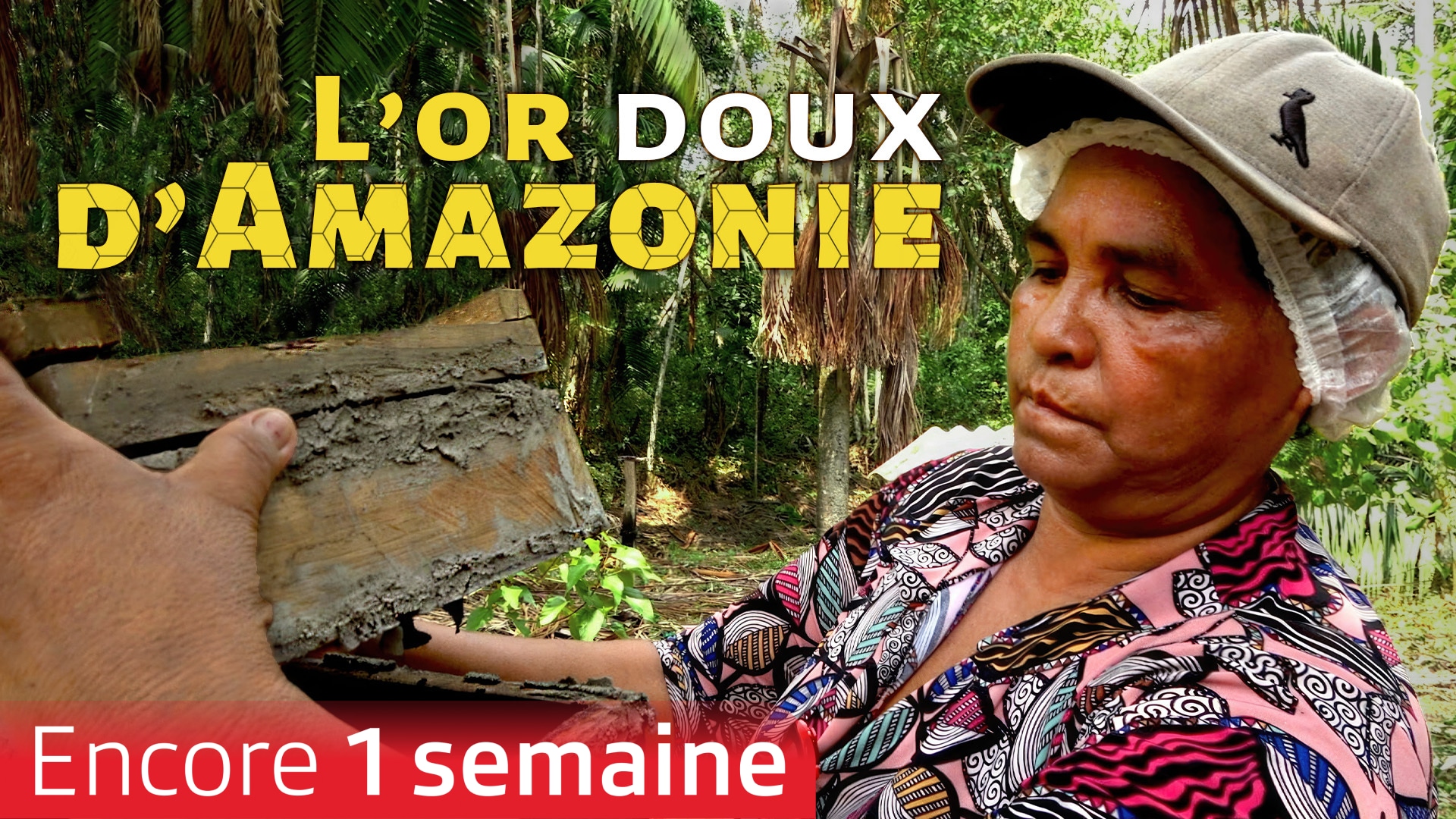 L'or doux d'Amazonie