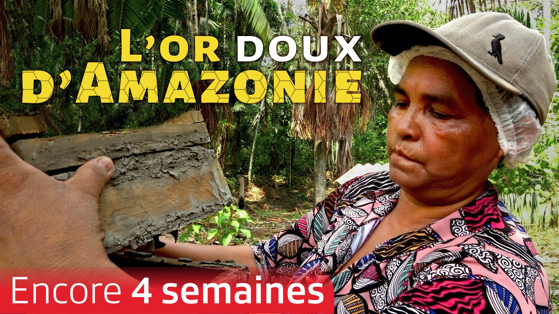 L'or doux d'Amazonie