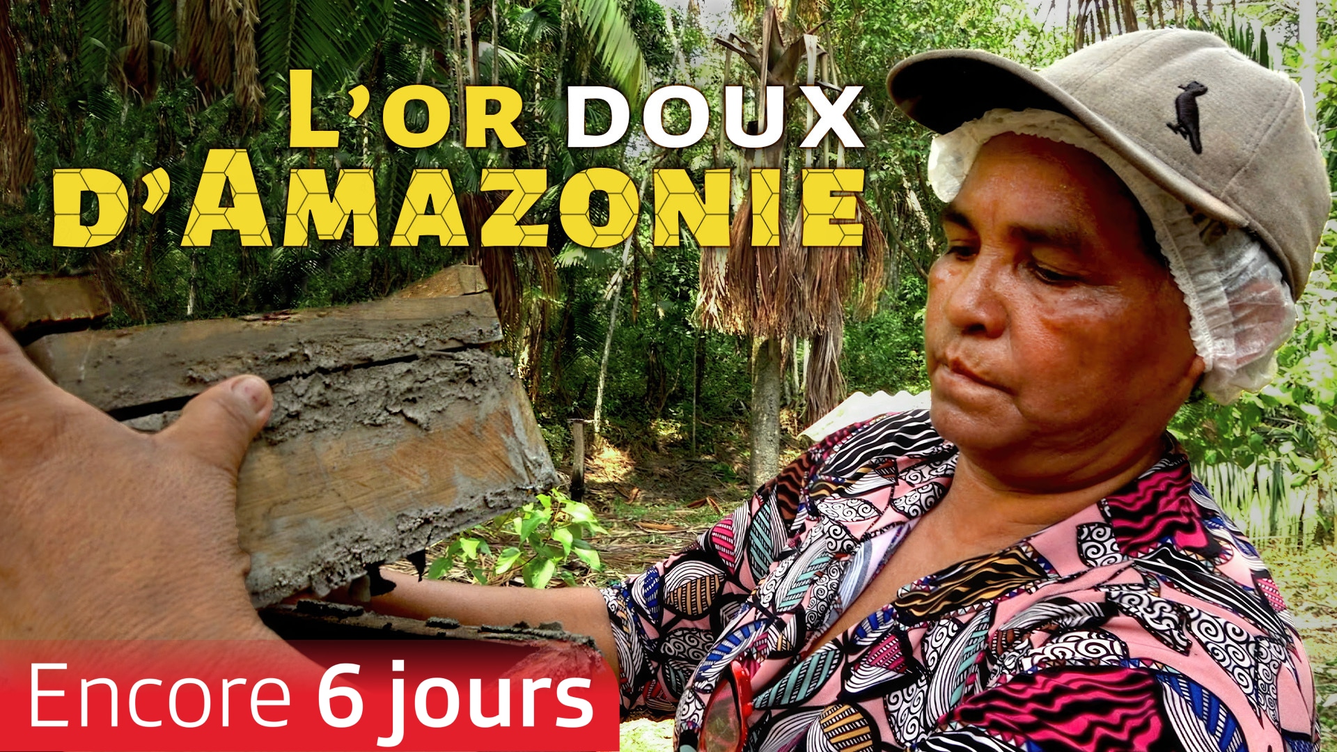 L'or doux d'Amazonie