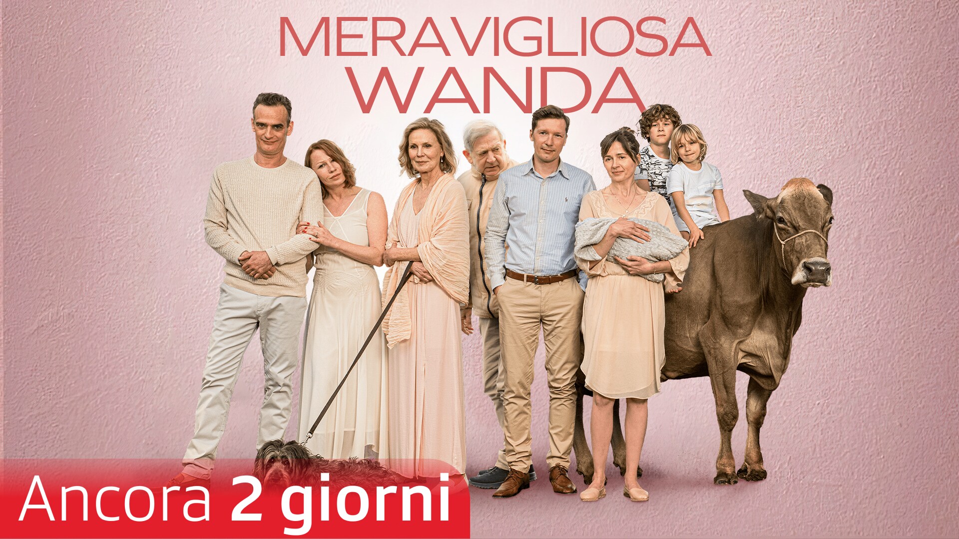 Meravigliosa Wanda