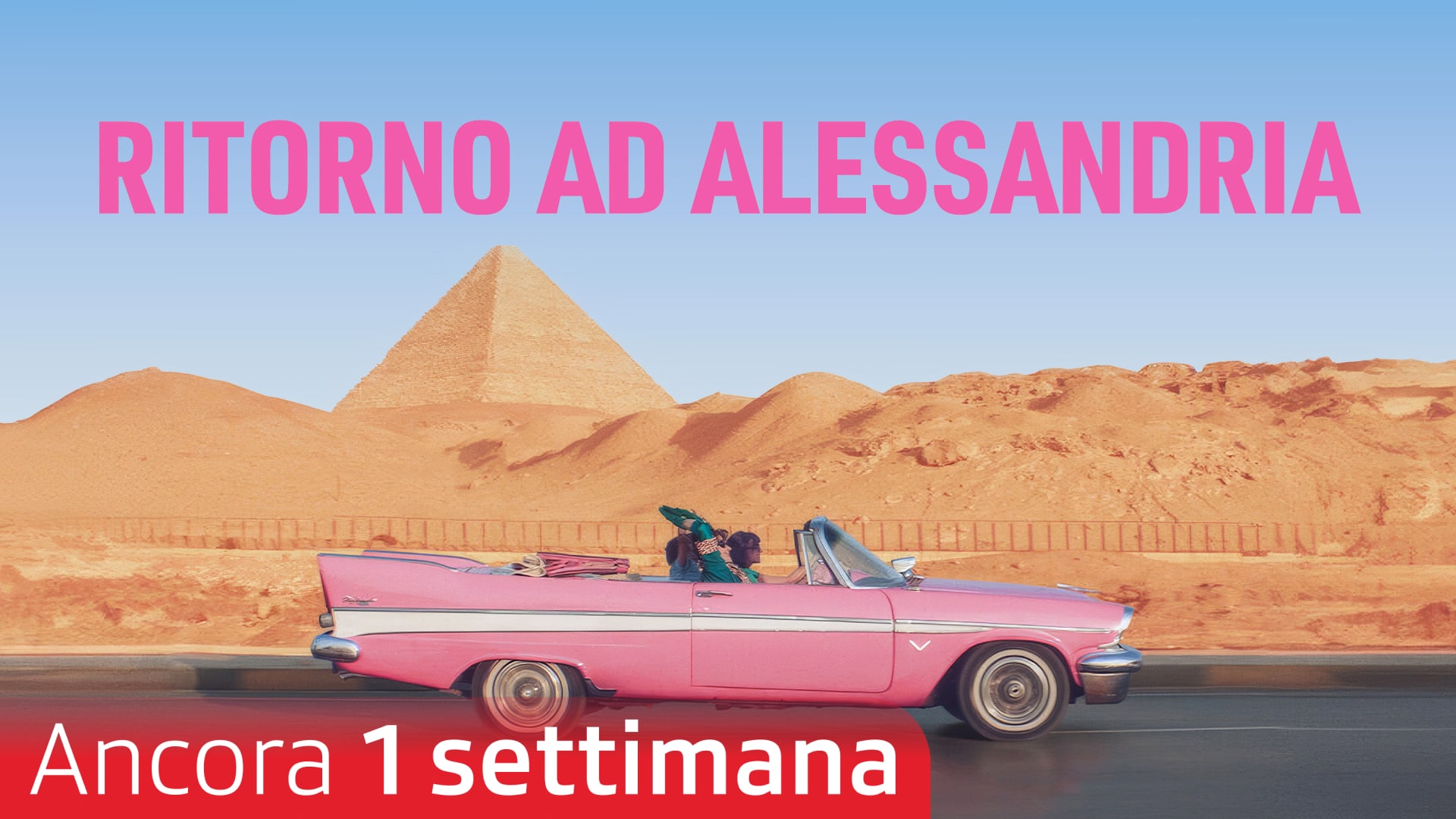 Ritorno ad Alessandria