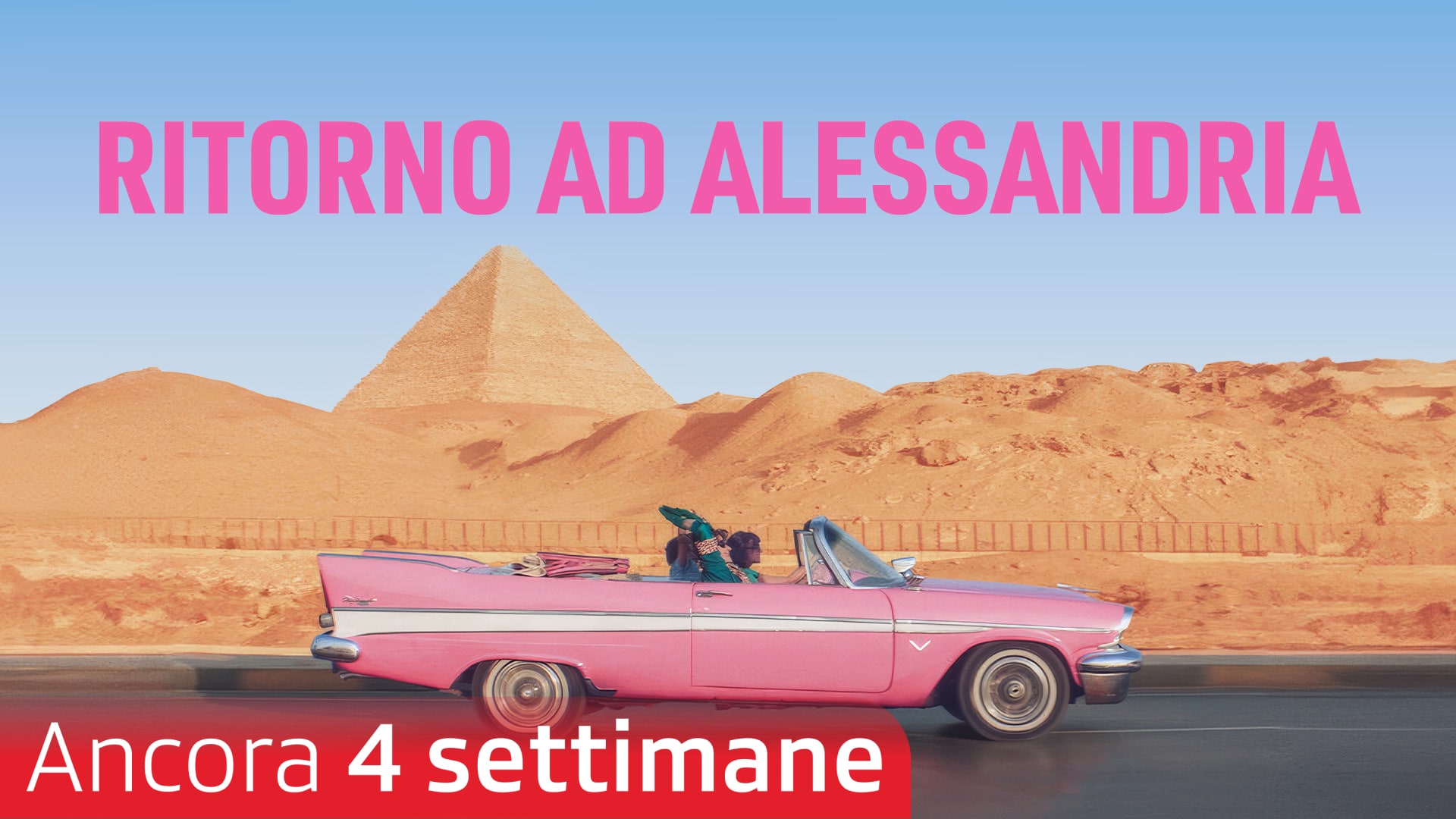 Ritorno ad Alessandria