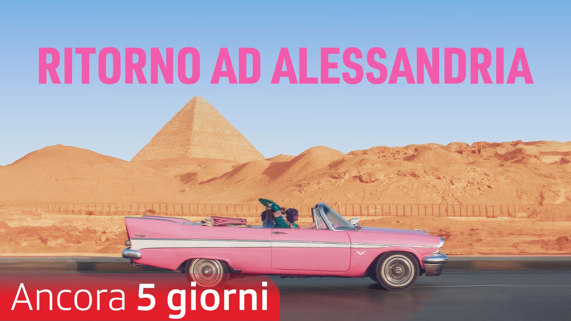 Ritorno ad Alessandria