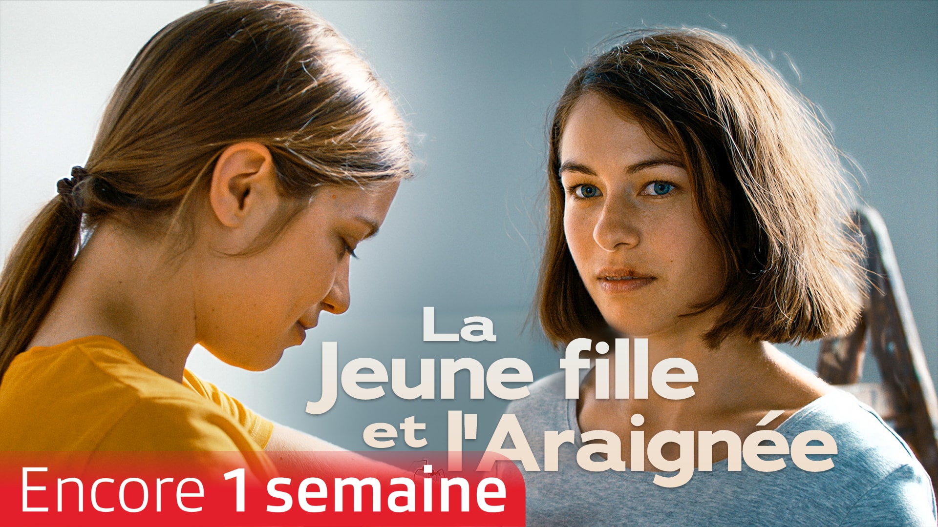 La jeune fille et l'araignée