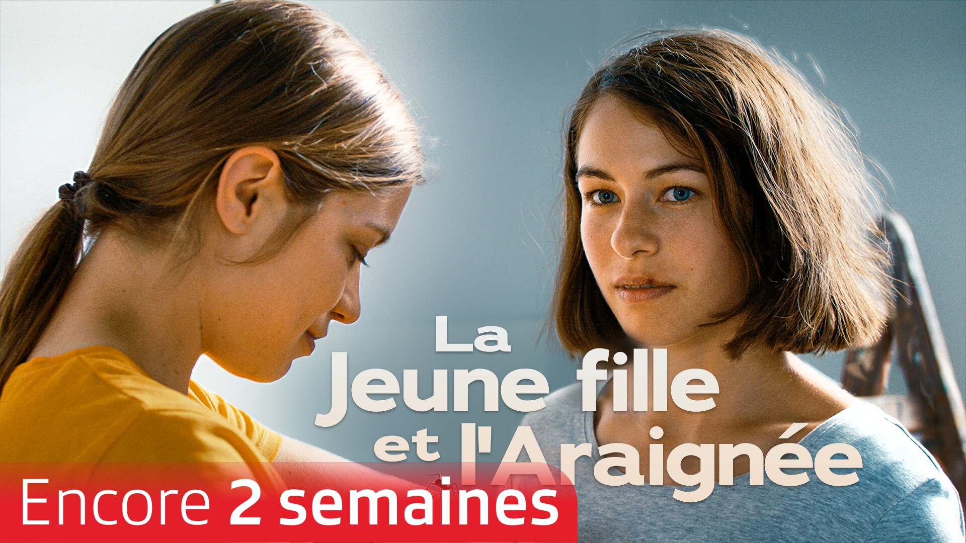 La jeune fille et l'araignée