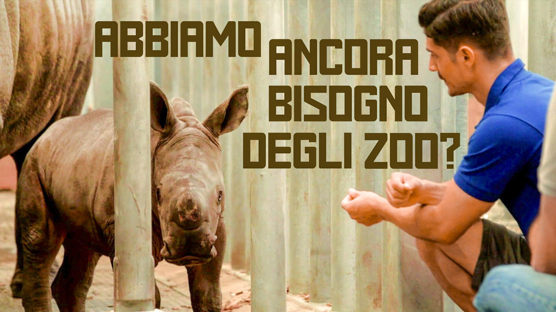 Abbiamo ancora bisogno degli zoo?