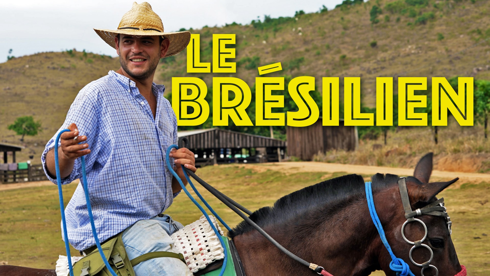 Le brésilien