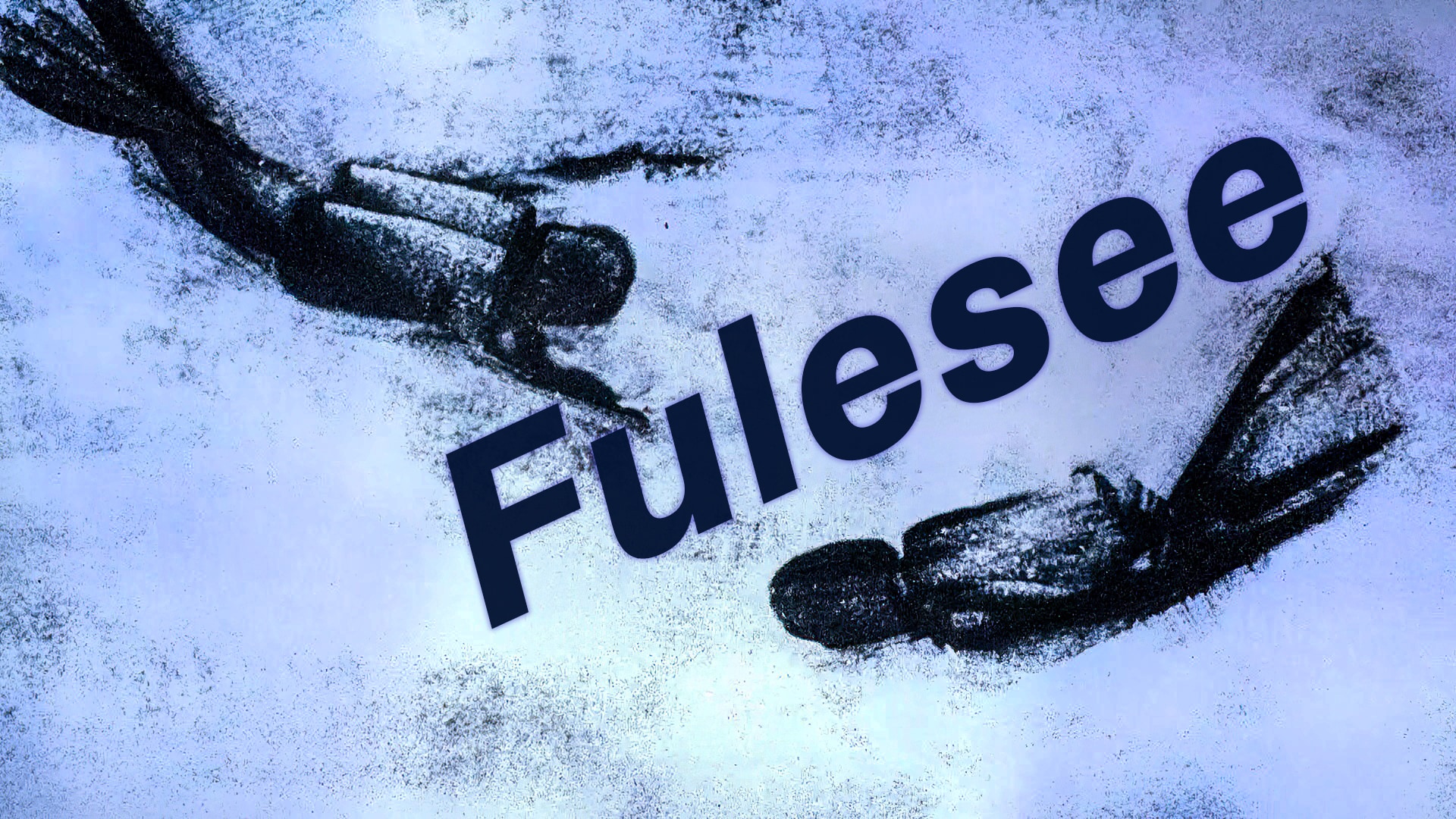 Fulesee