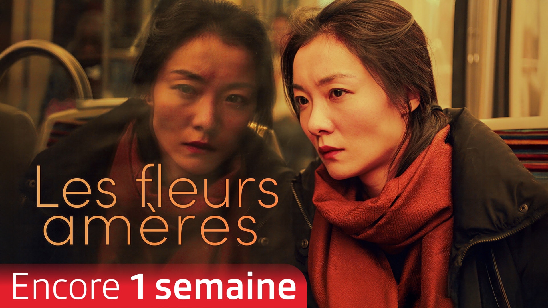 Les fleurs amères