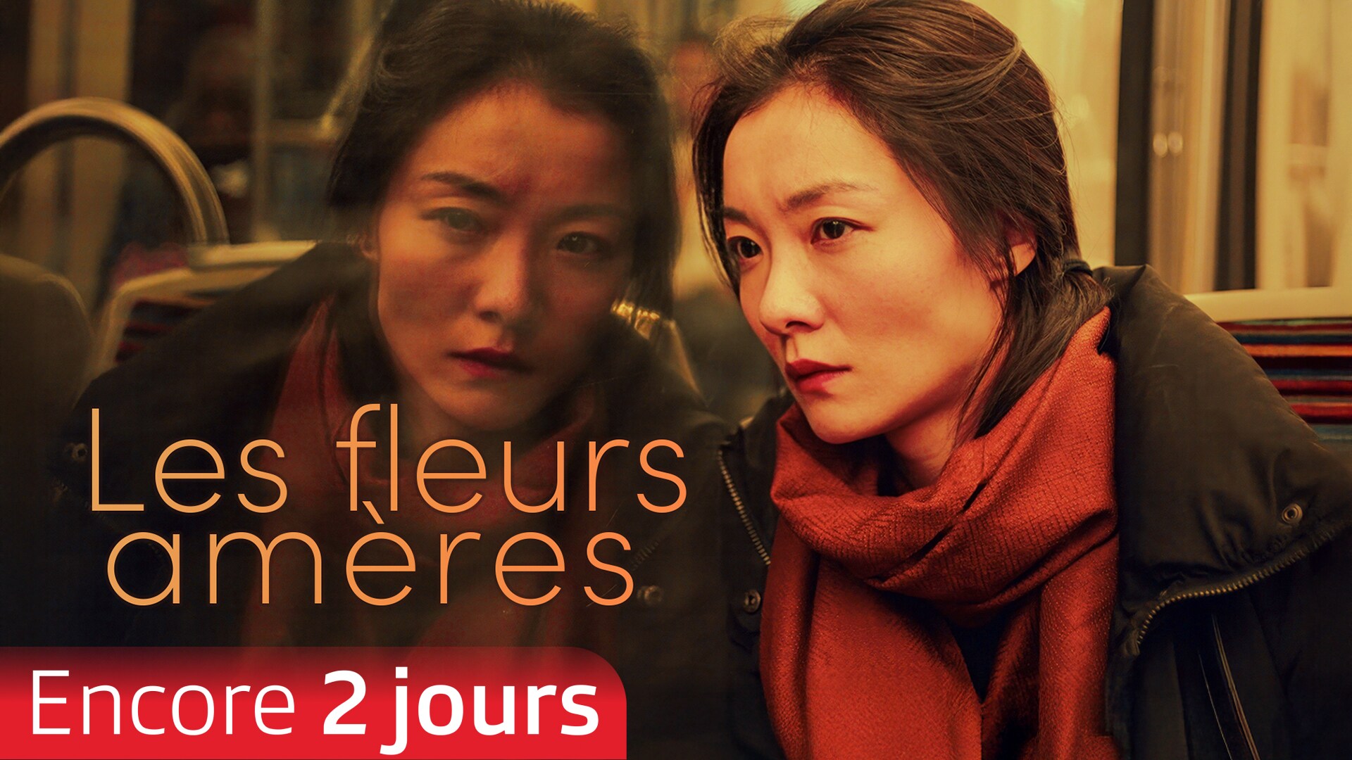 Les fleurs amères