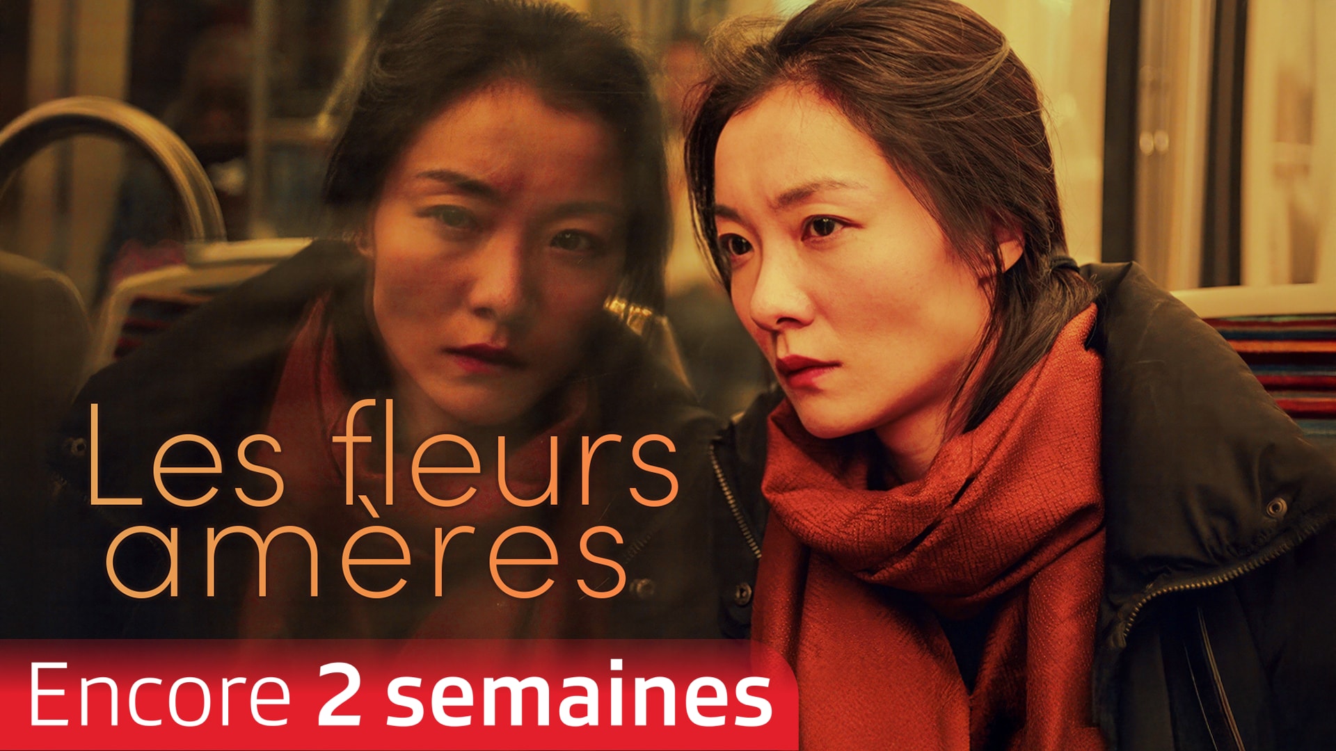 Les fleurs amères
