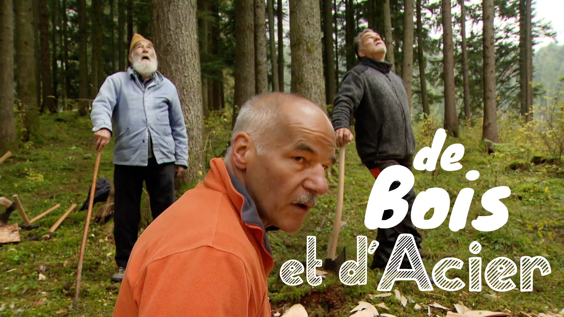 De bois et d'acier