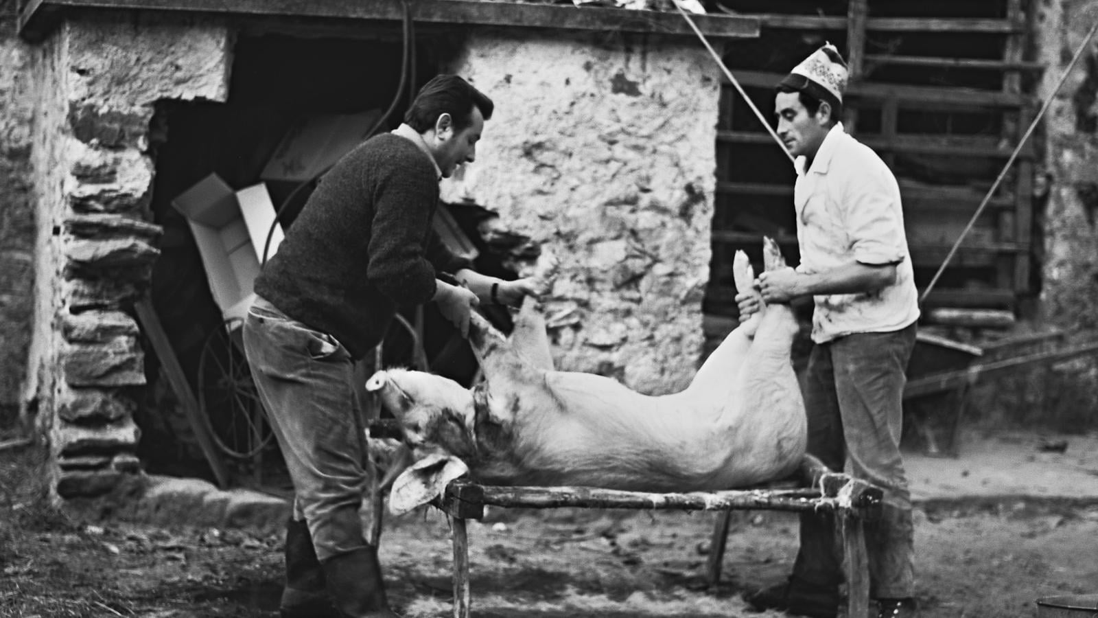 Le dernier tue-cochon