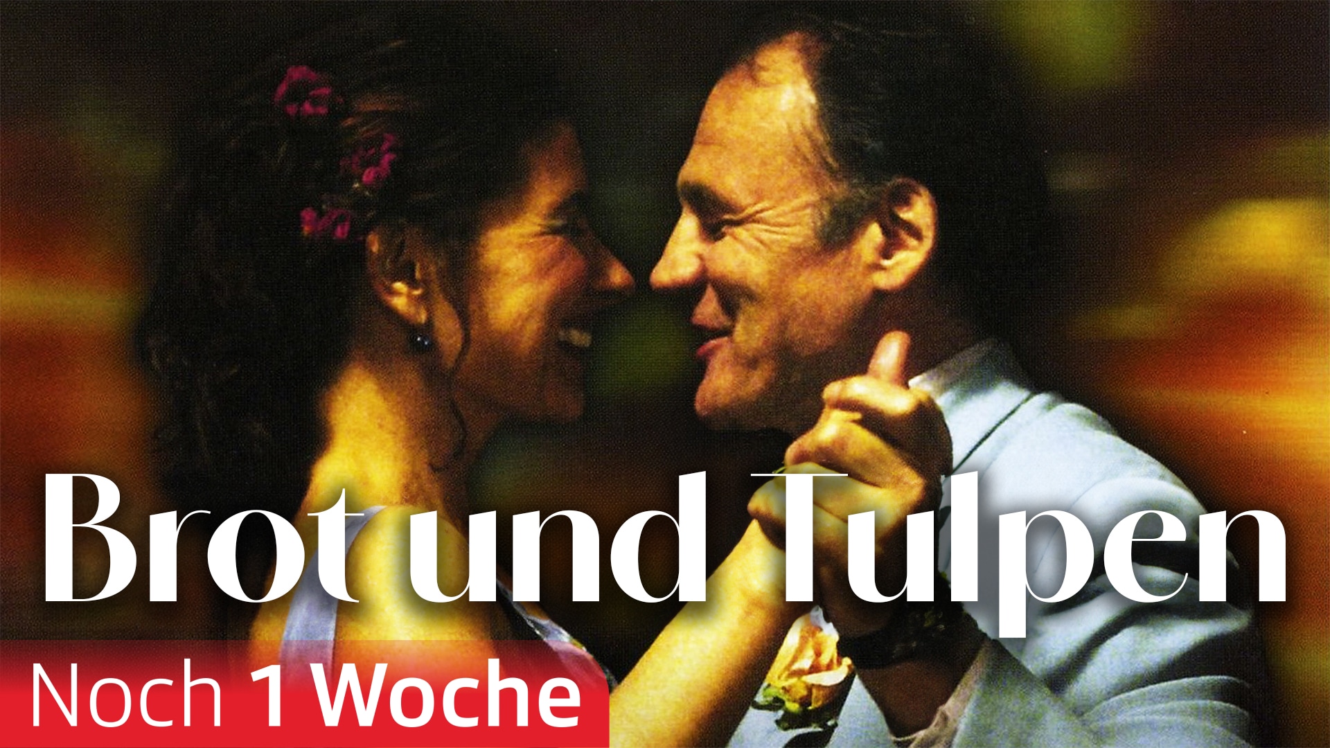 Brot und Tulpen