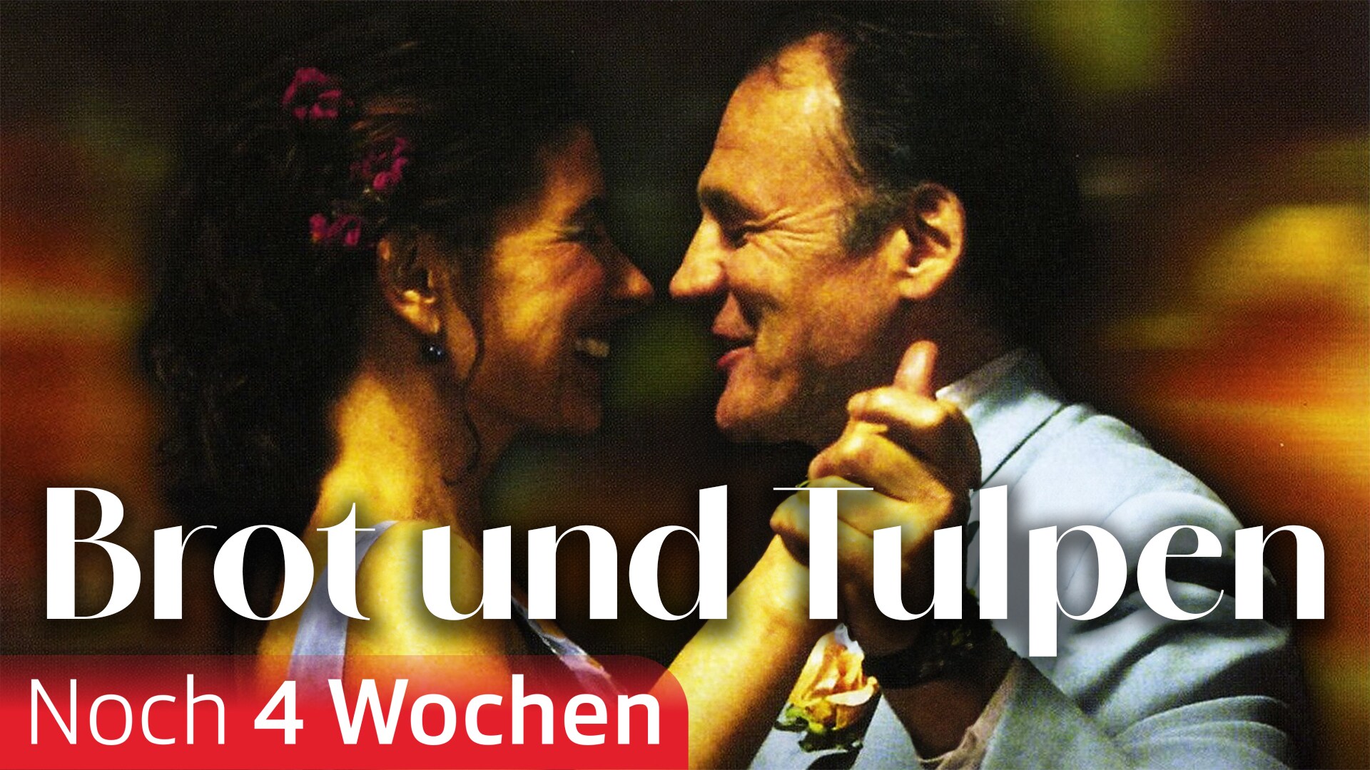 Brot und Tulpen