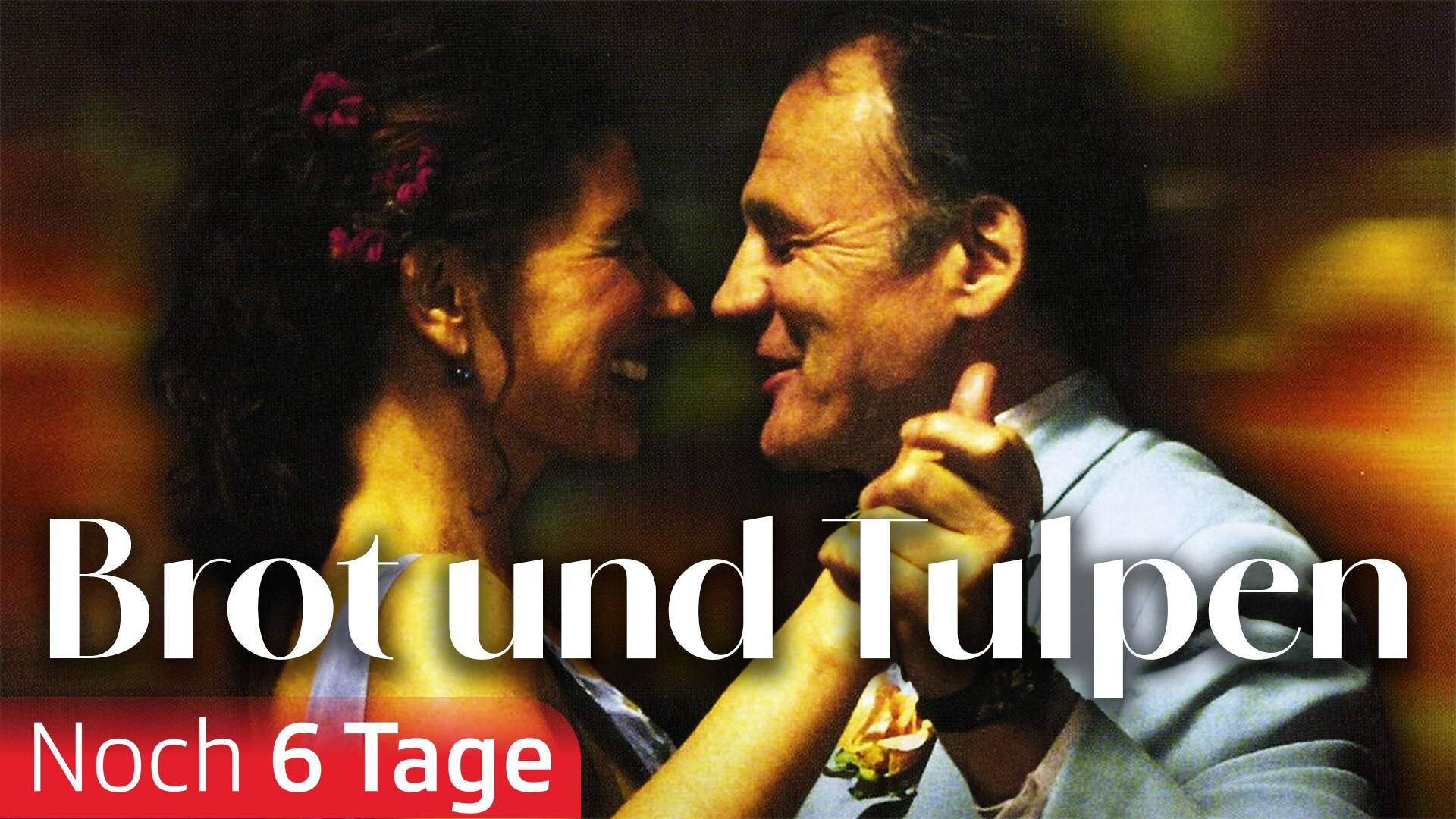 Brot und Tulpen