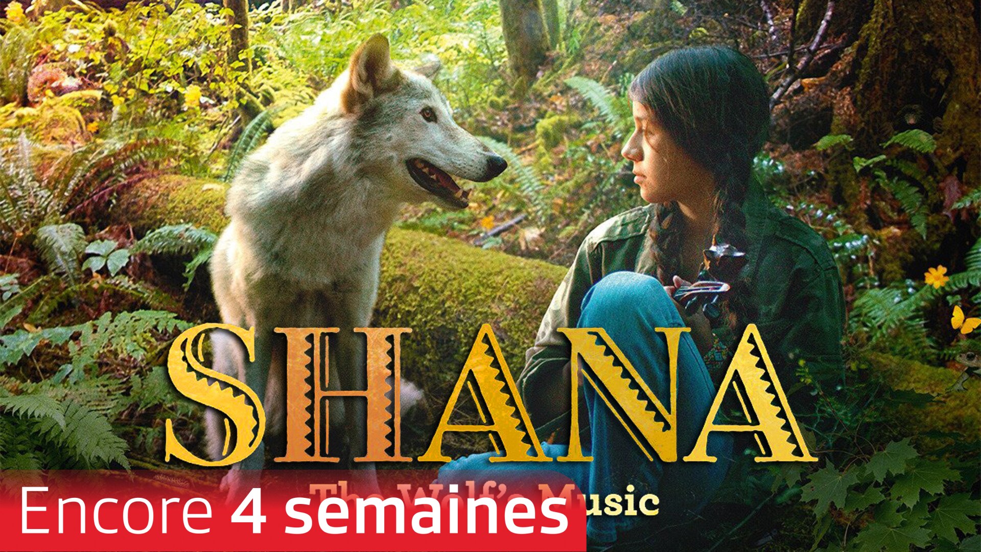 Shana : la musique du loup