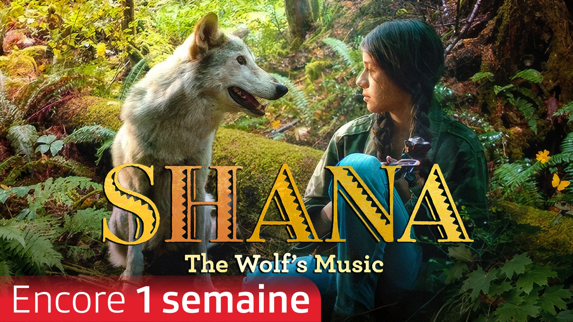 Shana : la musique du loup