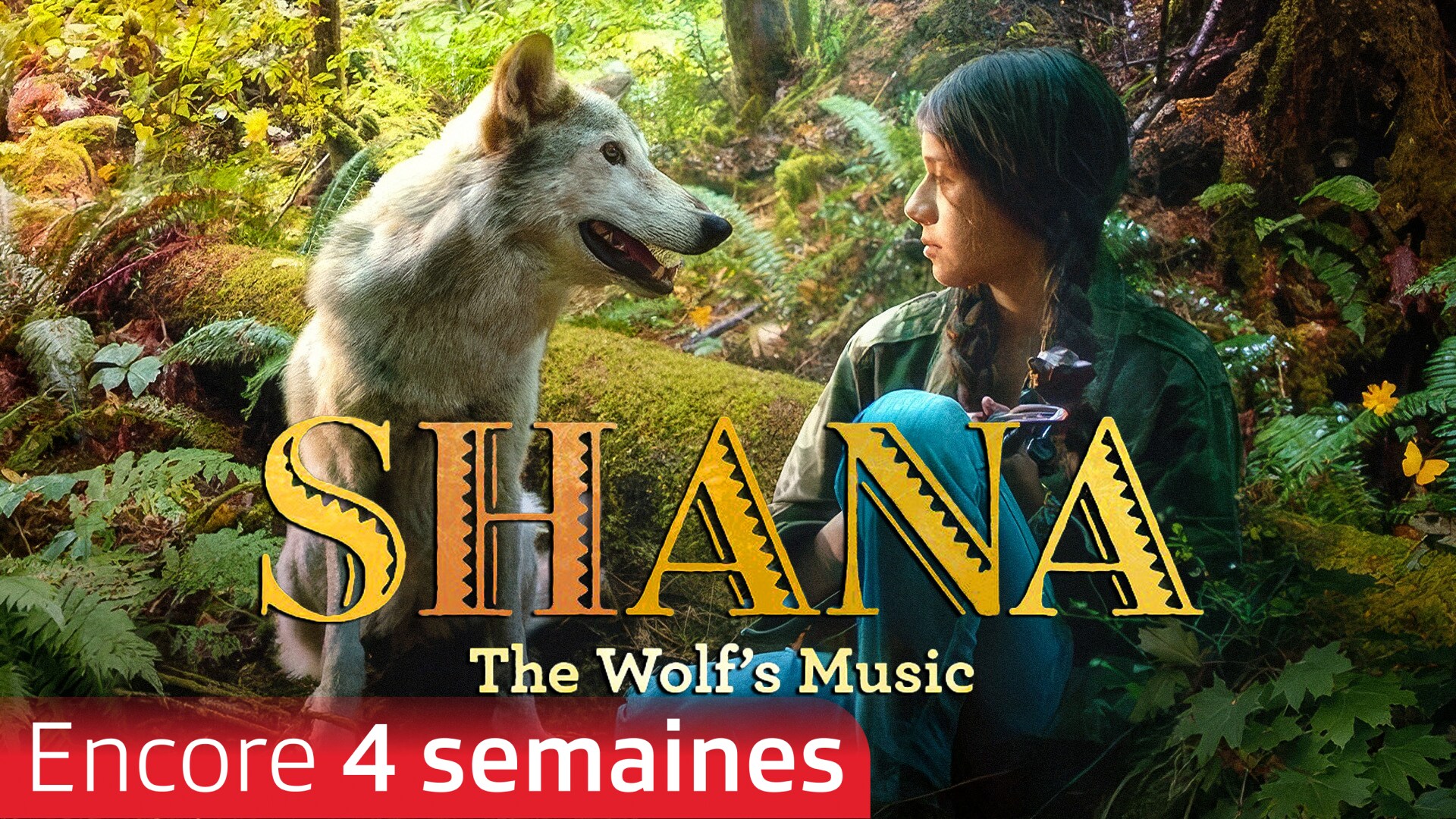 Shana : la musique du loup