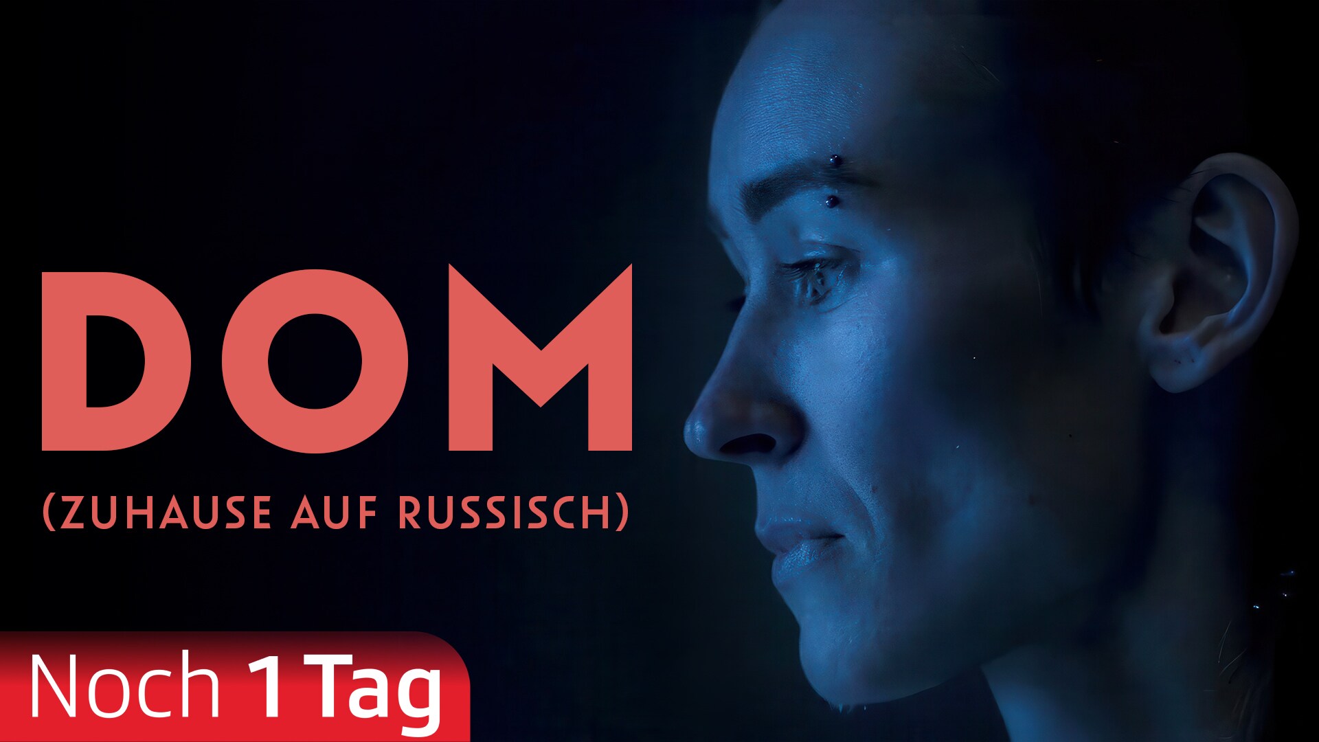 DOM (Zuhause auf Russisch)