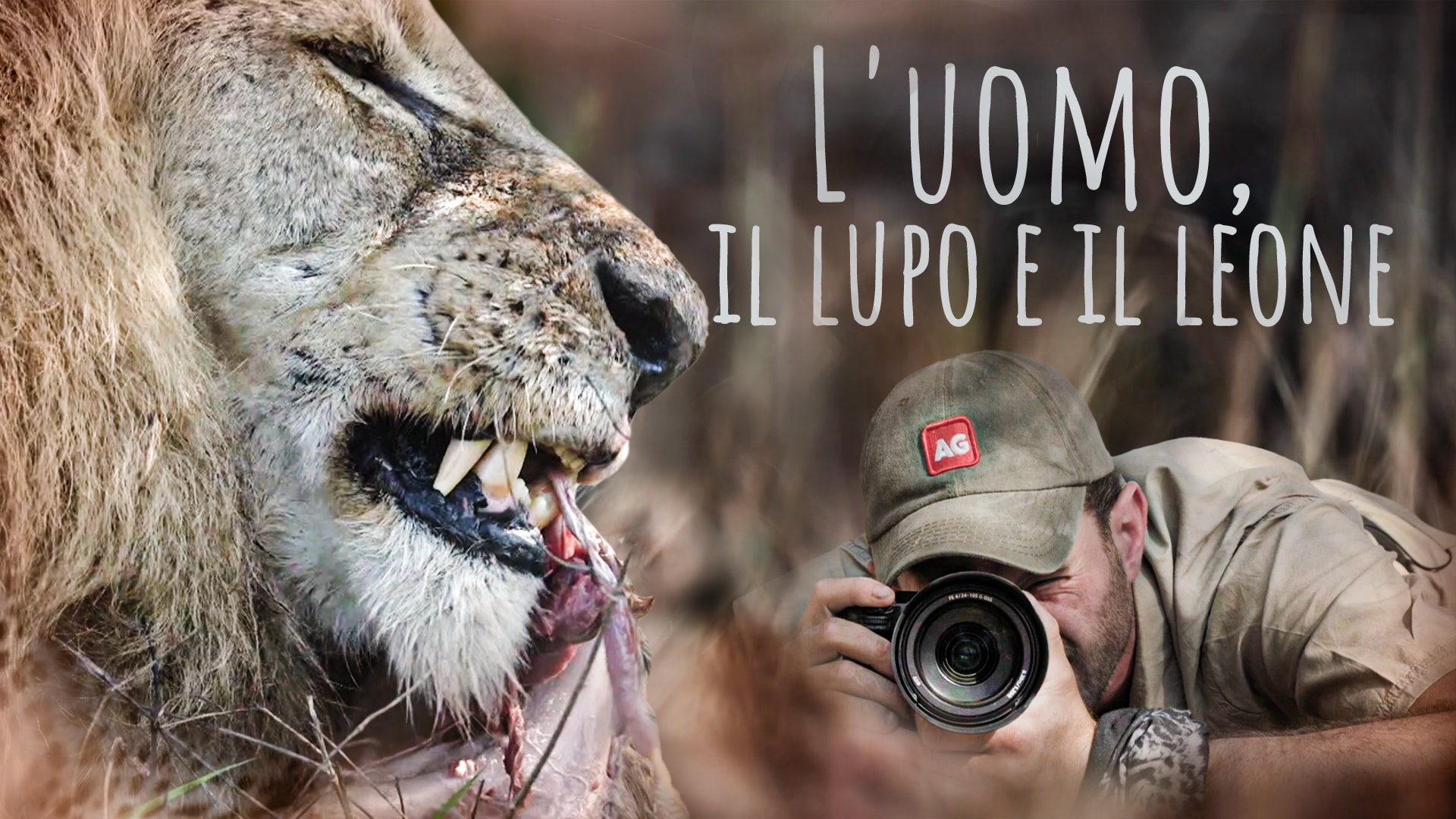 L'uomo, il lupo e il leone