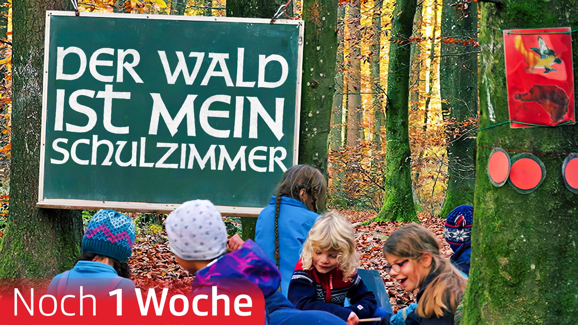Der Wald ist mein Schulzimmer