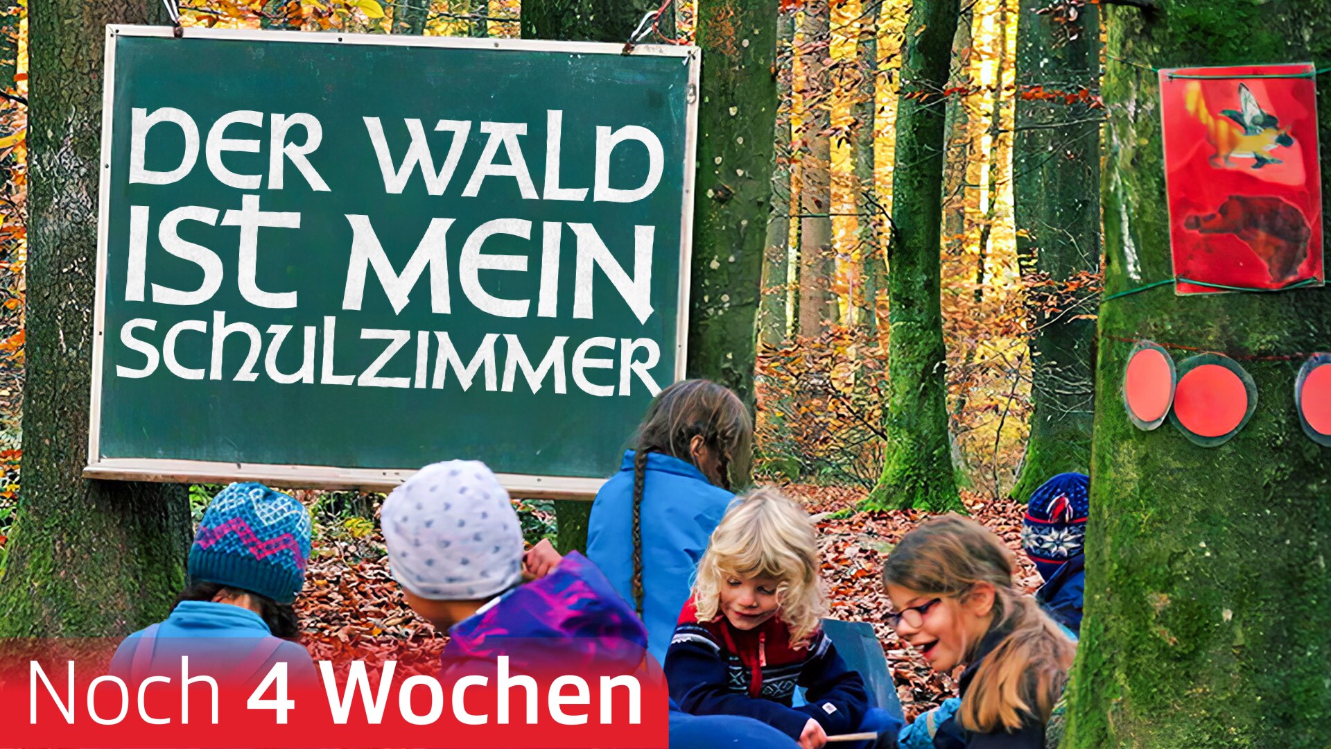 Der Wald ist mein Schulzimmer