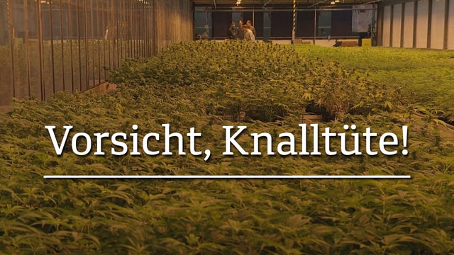 Vorsicht, Knalltüte!