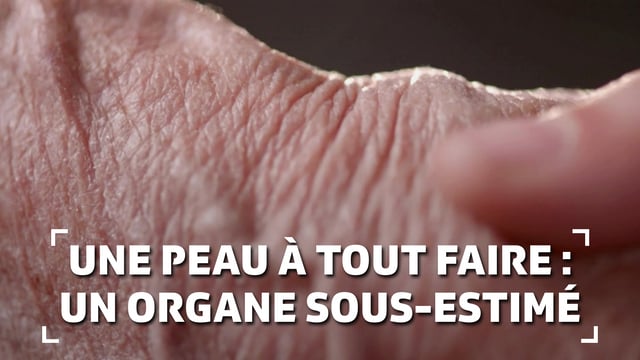 Une peau à tout faire : un organe sous-estimé