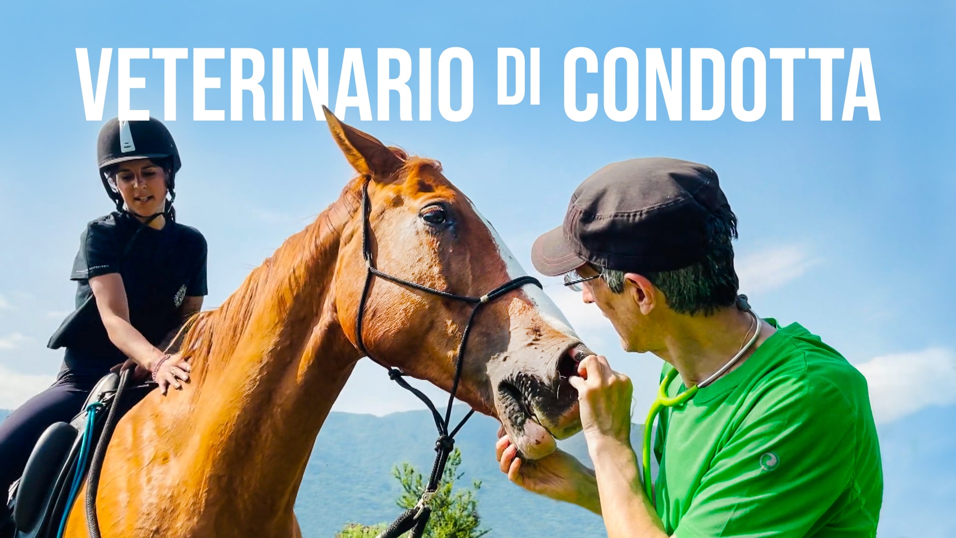 Veterinario di condotta