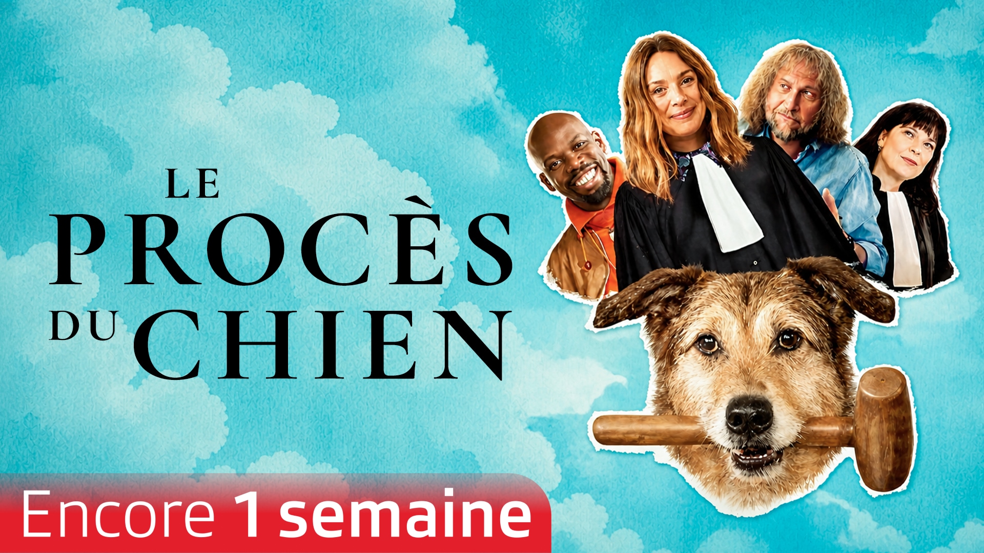 Le procès du chien