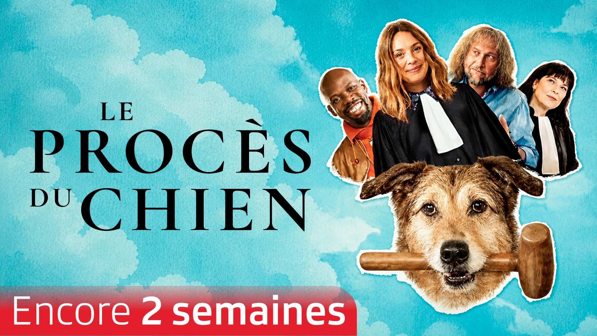 Le procès du chien