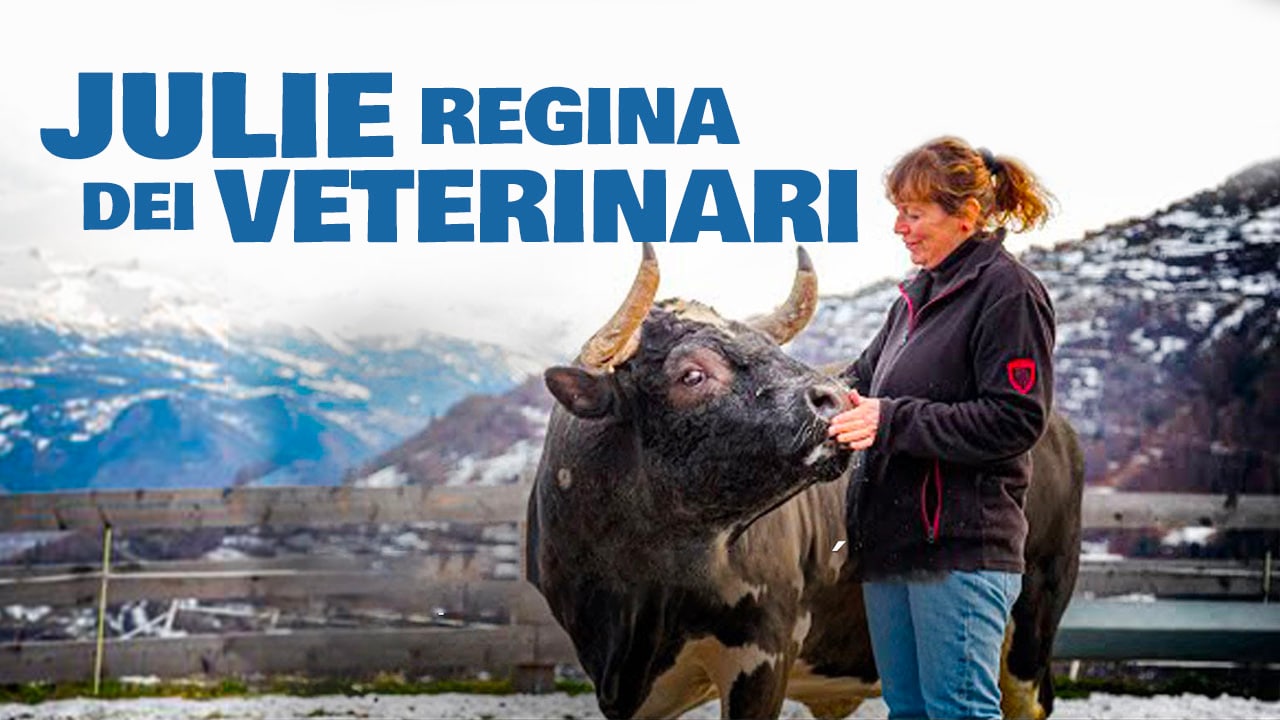 Julie, regina dei veterinari