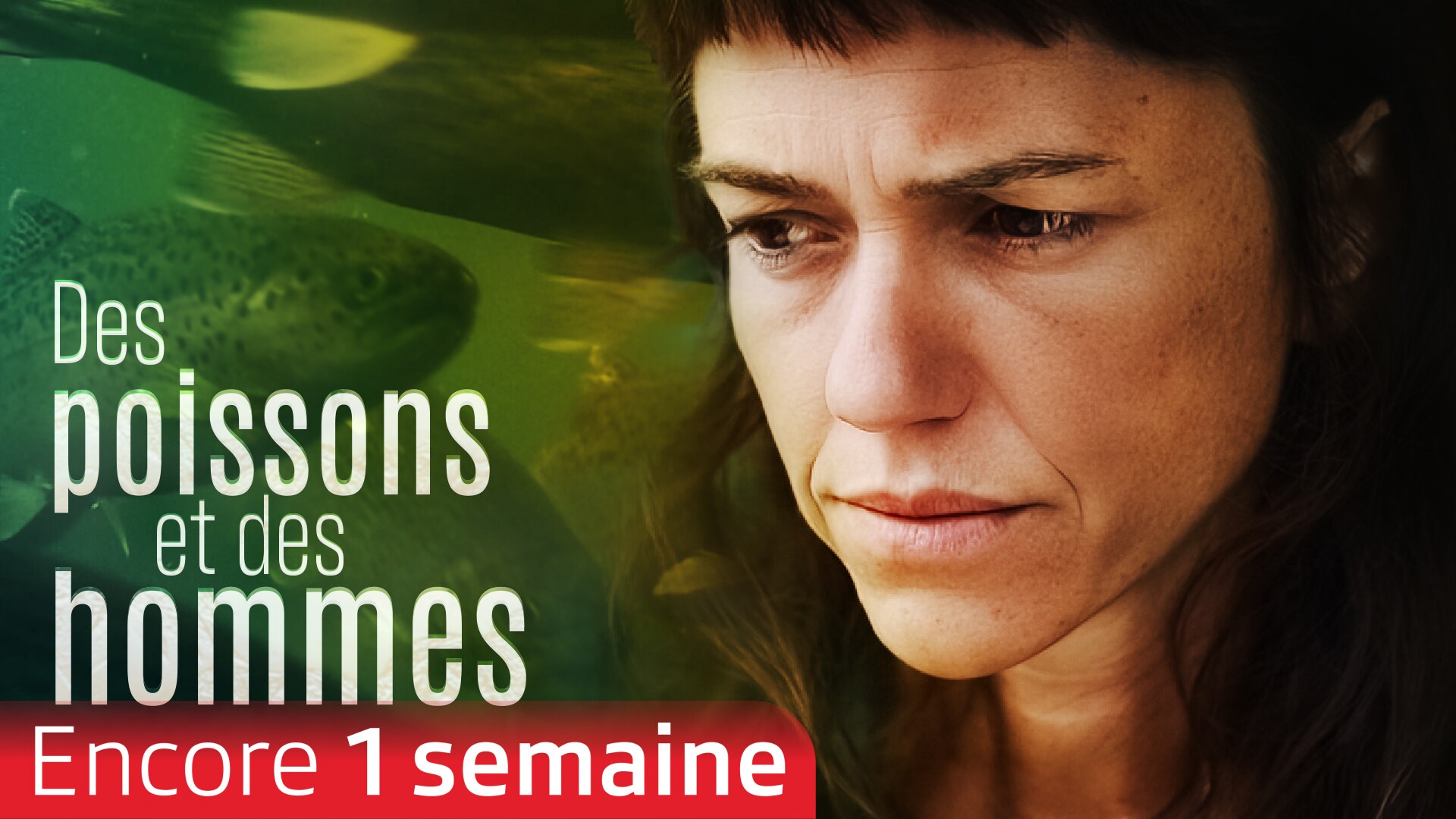 Des poissons et des hommes